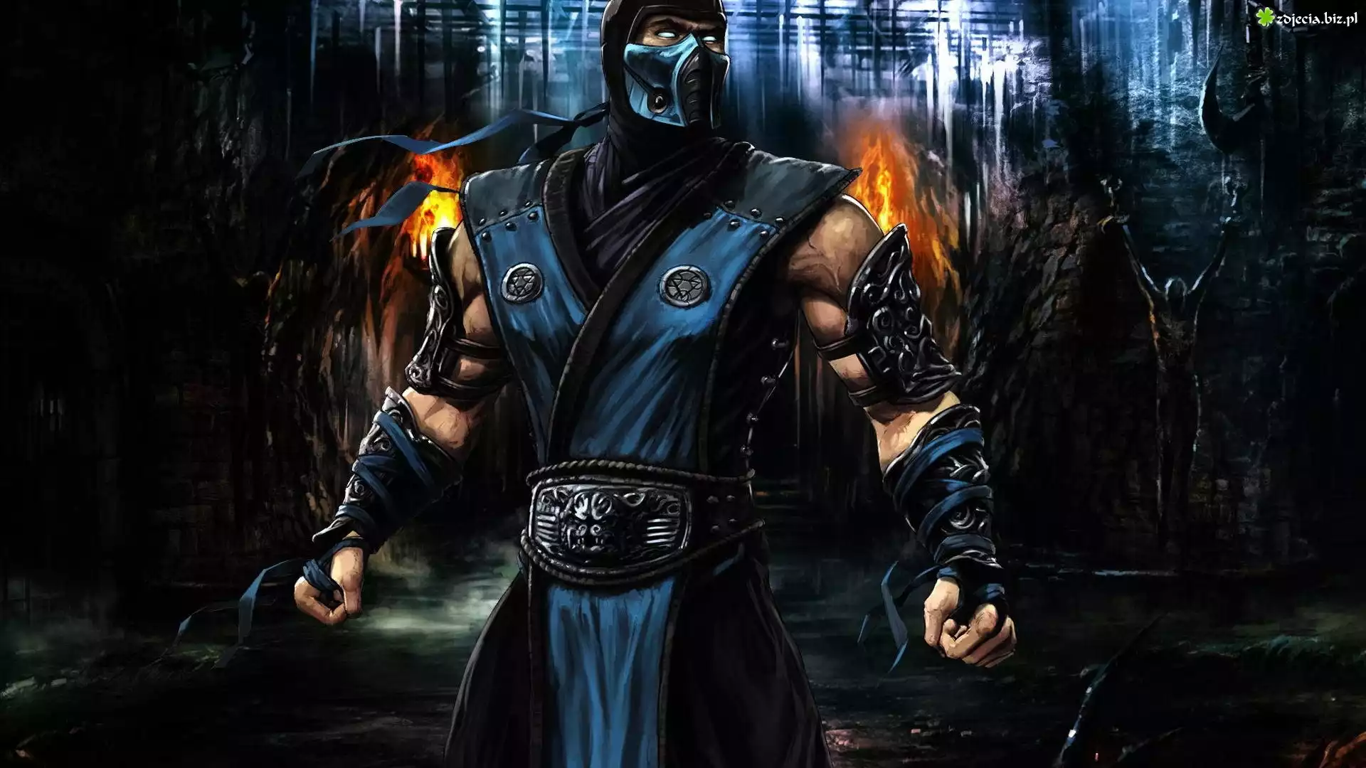 Mortal Kombat, Sub Zero