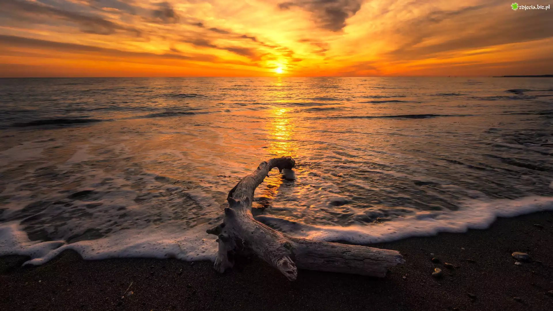 Uschnięty, Konar, Plaża, Morze, Fale, Zachód słońca