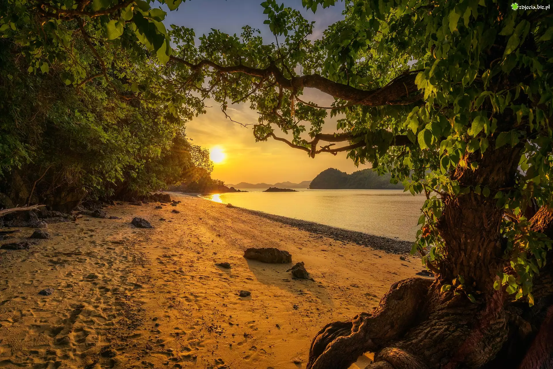 Morze, Plaża, Drzewa, Wzgórza, Wschód słońca