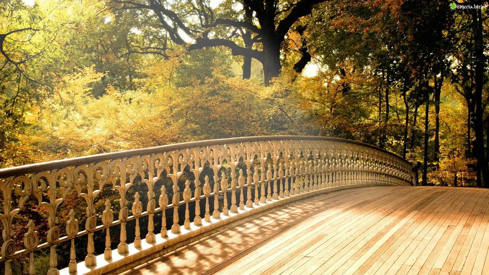 Park, Most, Drzewa