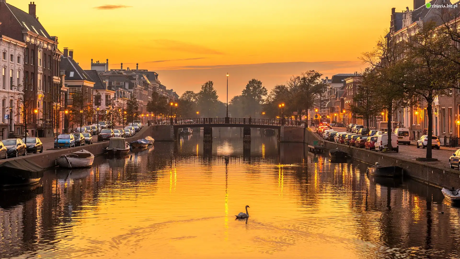 Holandia, Haarlem, Rzeka Spaarne, Kanał Nieuwe Gracht, Domy, Mostek