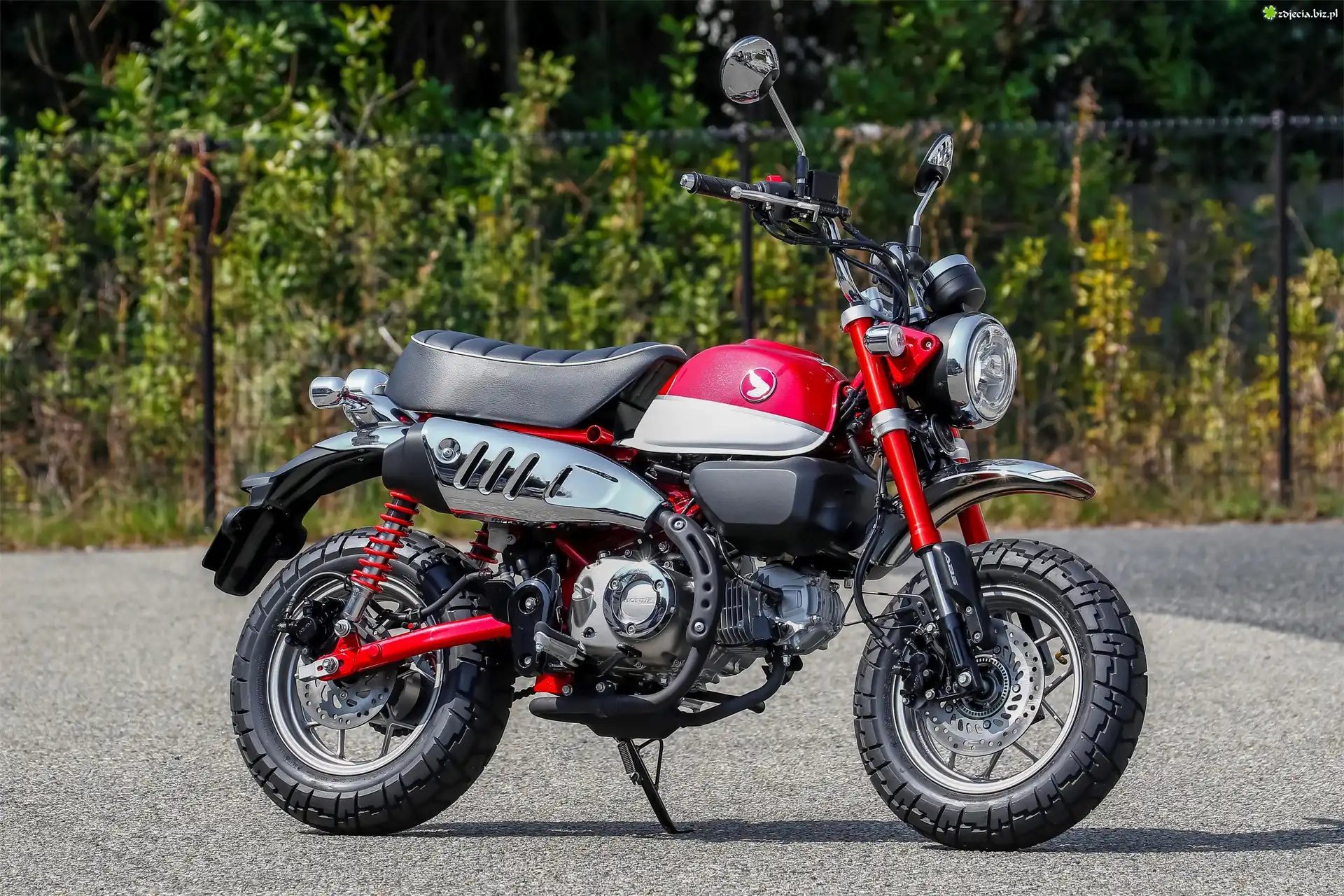 Motocykl, Honda Monkey 125, 2018