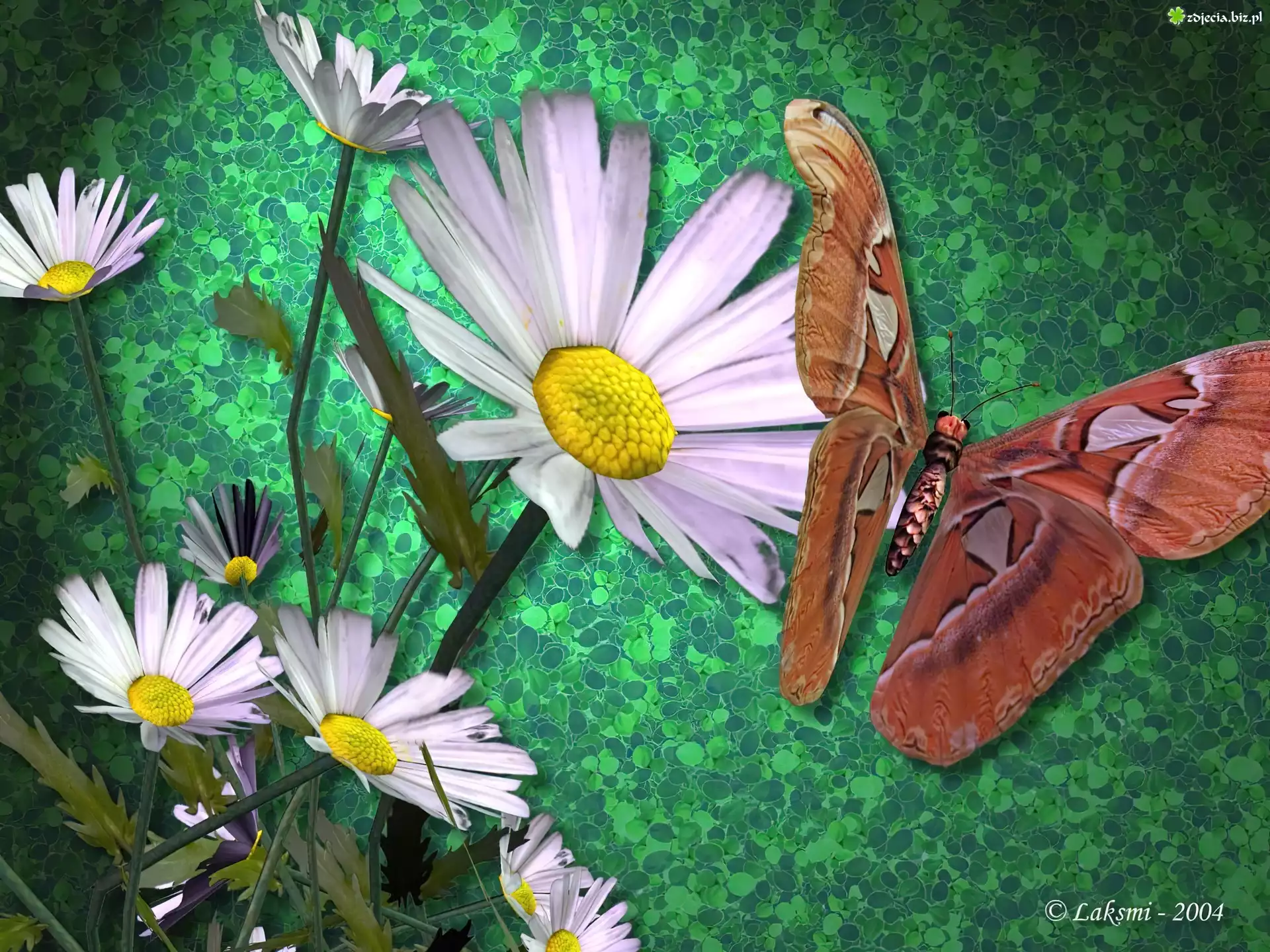 Kwiaty, Motyl, 3D