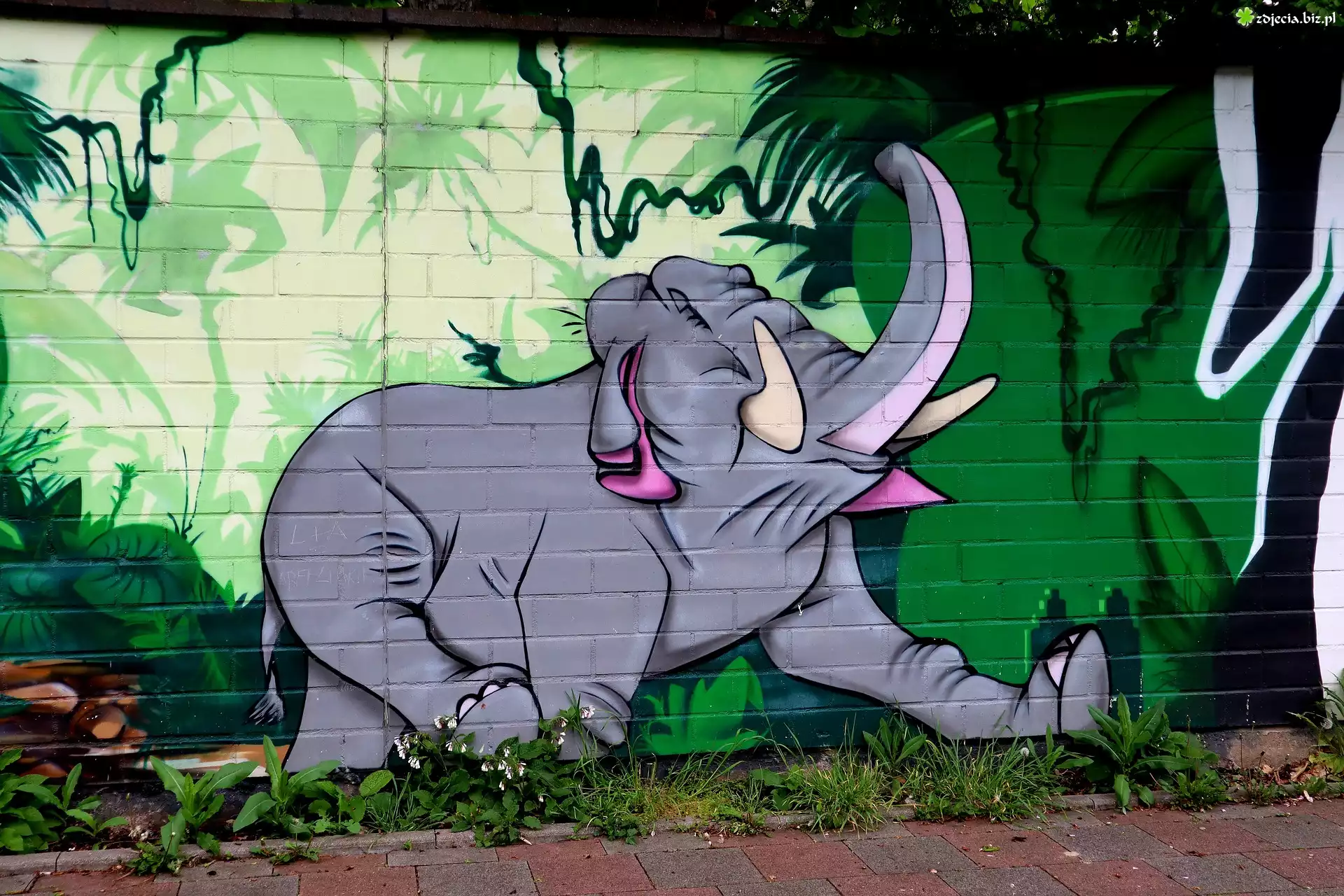 Street art, Słoń, Mural