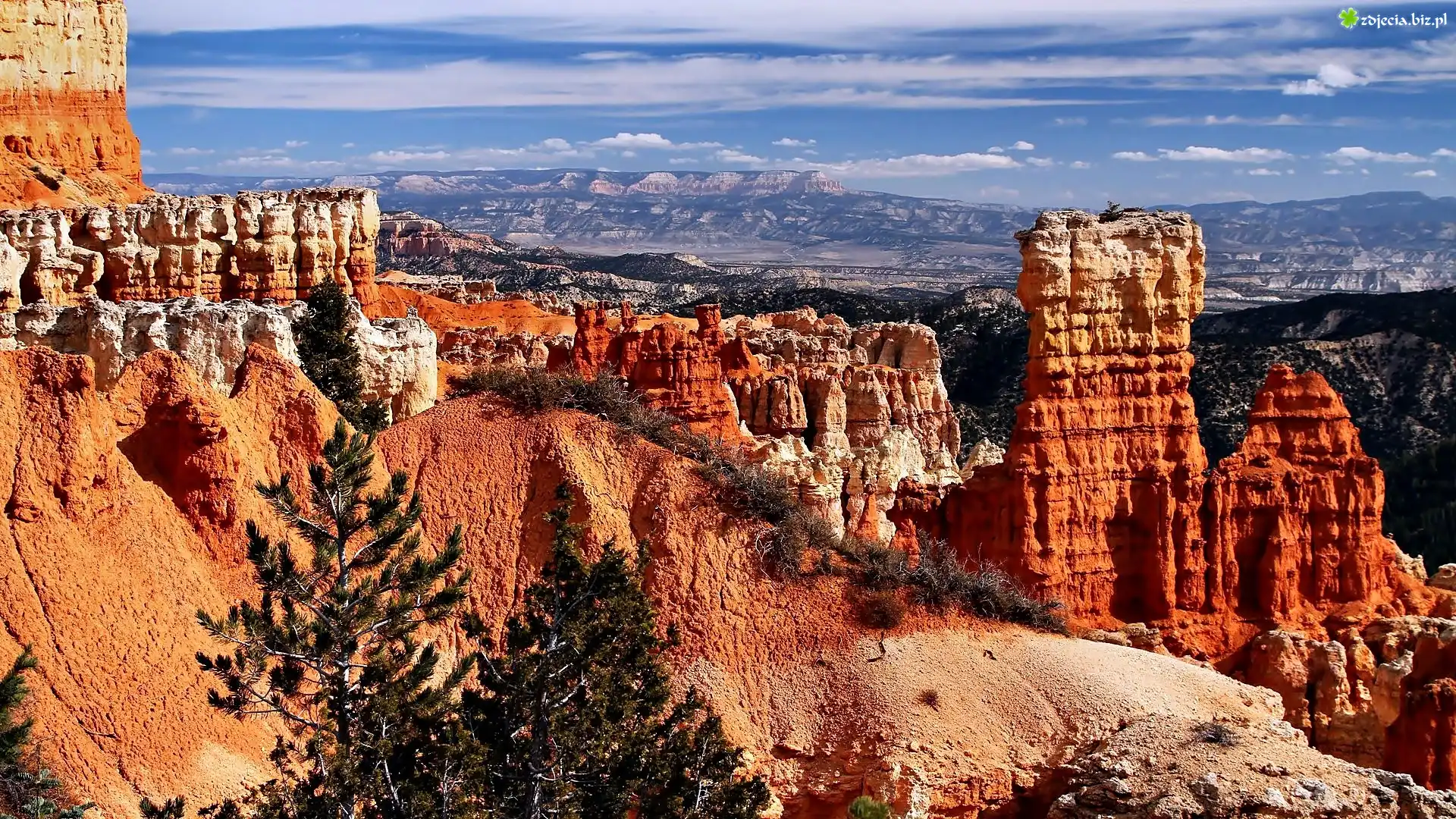 Stany Zjednoczone, Stan Utah, Park Narodowy Bryce Canyon, Kanion