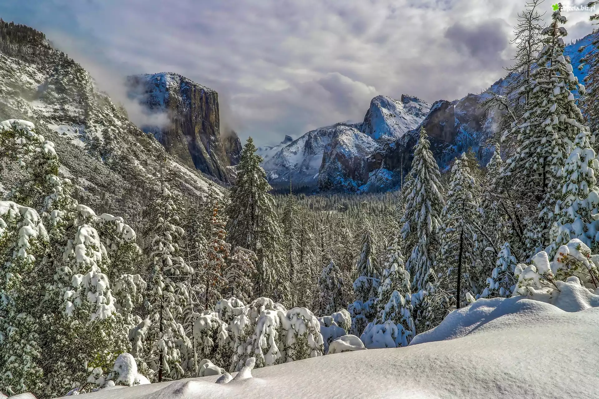 Dolina Yosemite Valley, Park Narodowy Yosemite, Stan Kalifornia, Stany Zjednoczone, Zima, Góry, Drzewa, Świerki