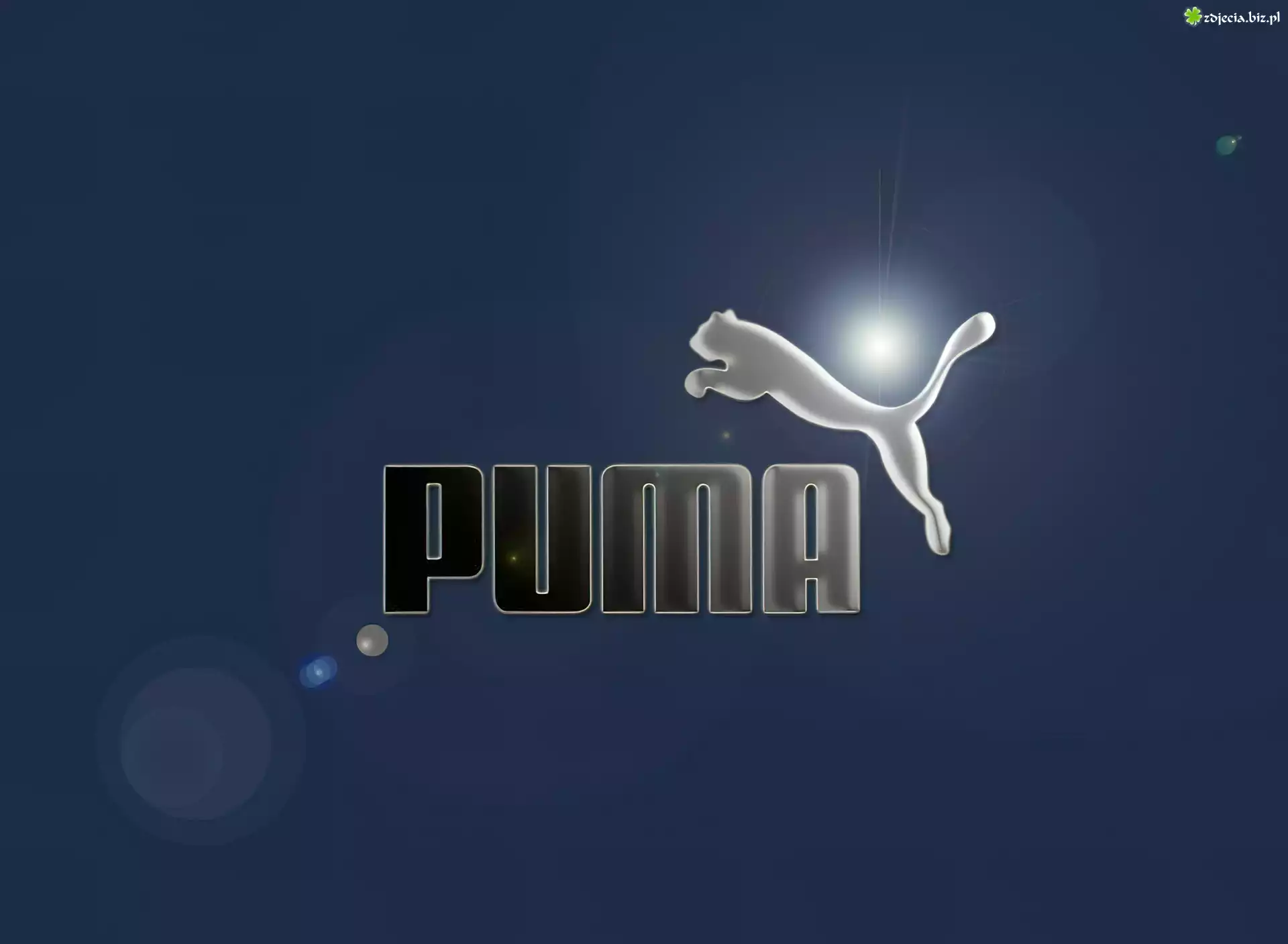 Nazwa, Puma, Logo, Niebieskie, Tło