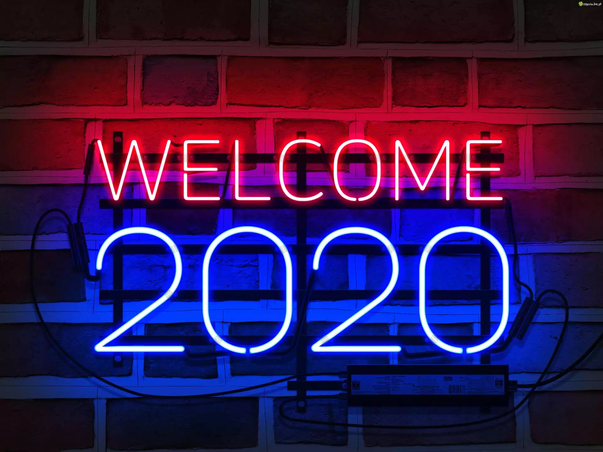 Neon, Powitanie, Nowy Rok, 2020