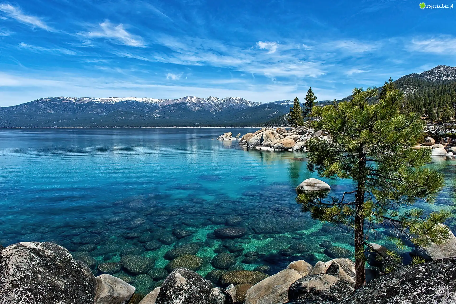 Nevada, Góry, Jezioro, Tahoe, Kamienie, Sosna