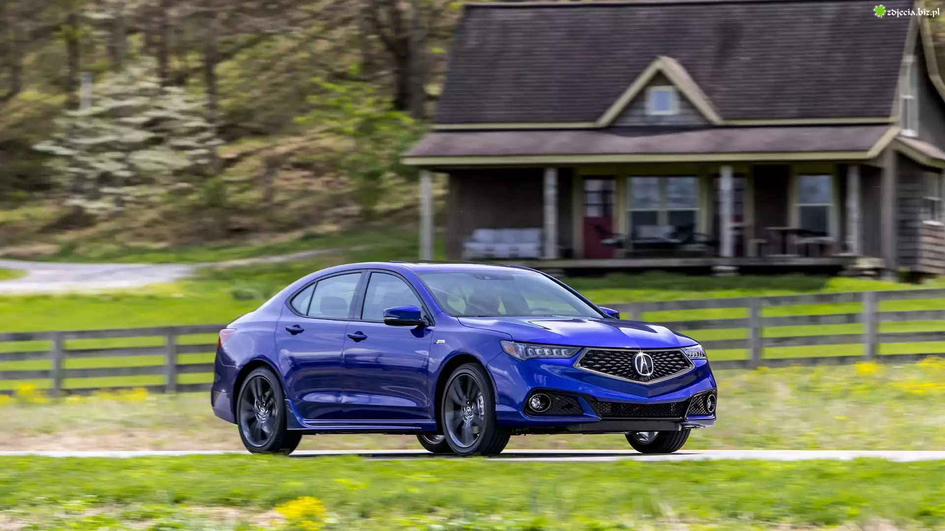 Niebieska, Acura TLX, Dom, Ogrodzenie