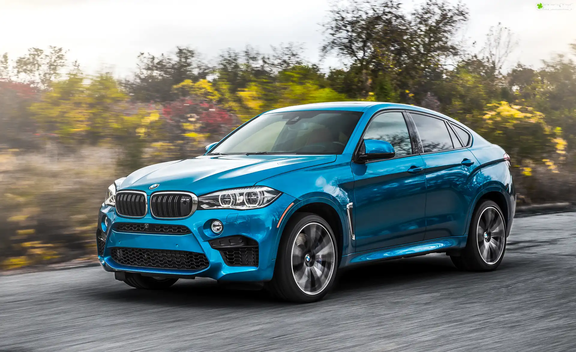 Niebieskie, BMW X6 F86, 2015