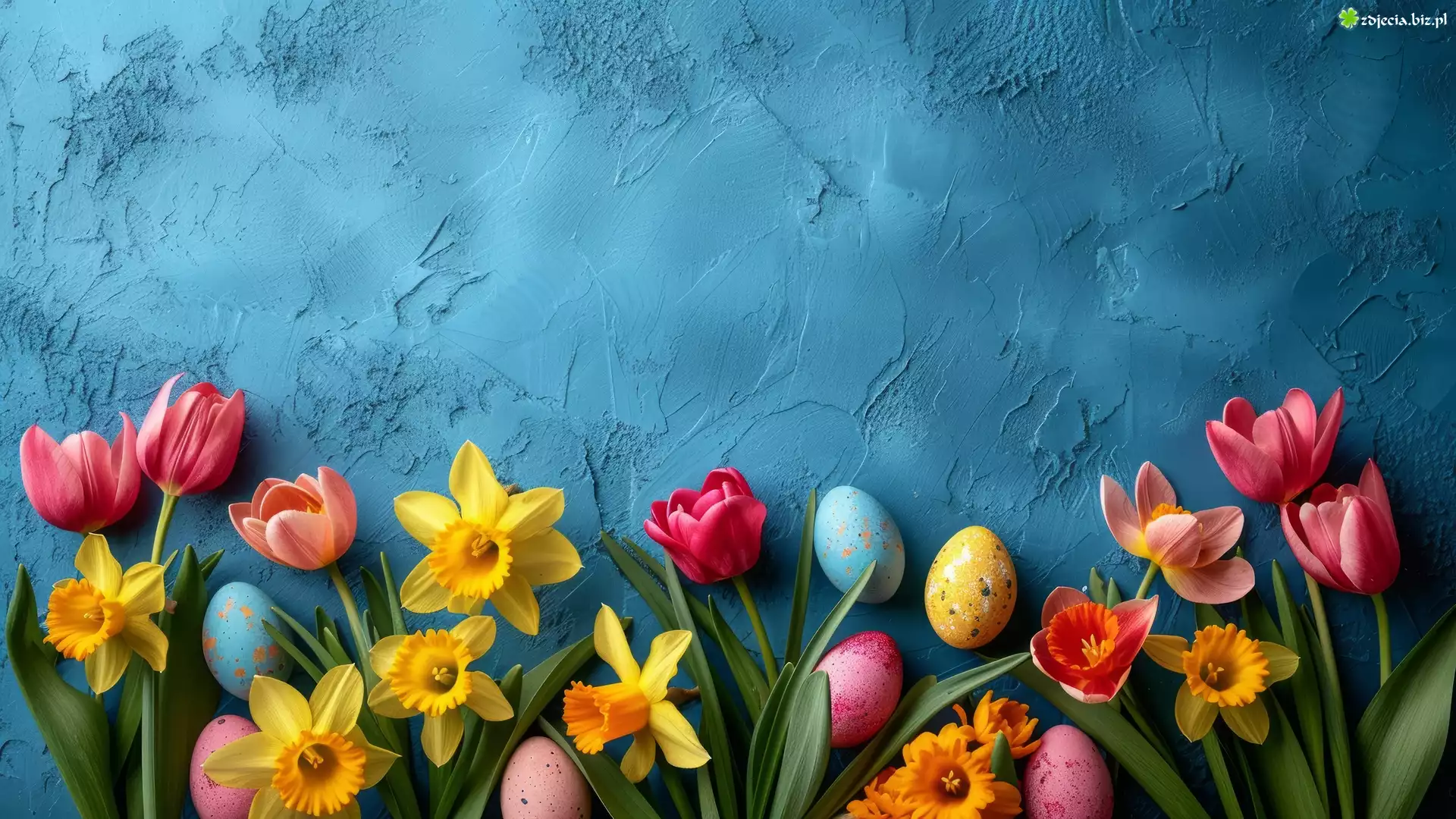 Tulipany, Żonkile, Pisanki, Niebieskie, Tło, Wielkanoc
