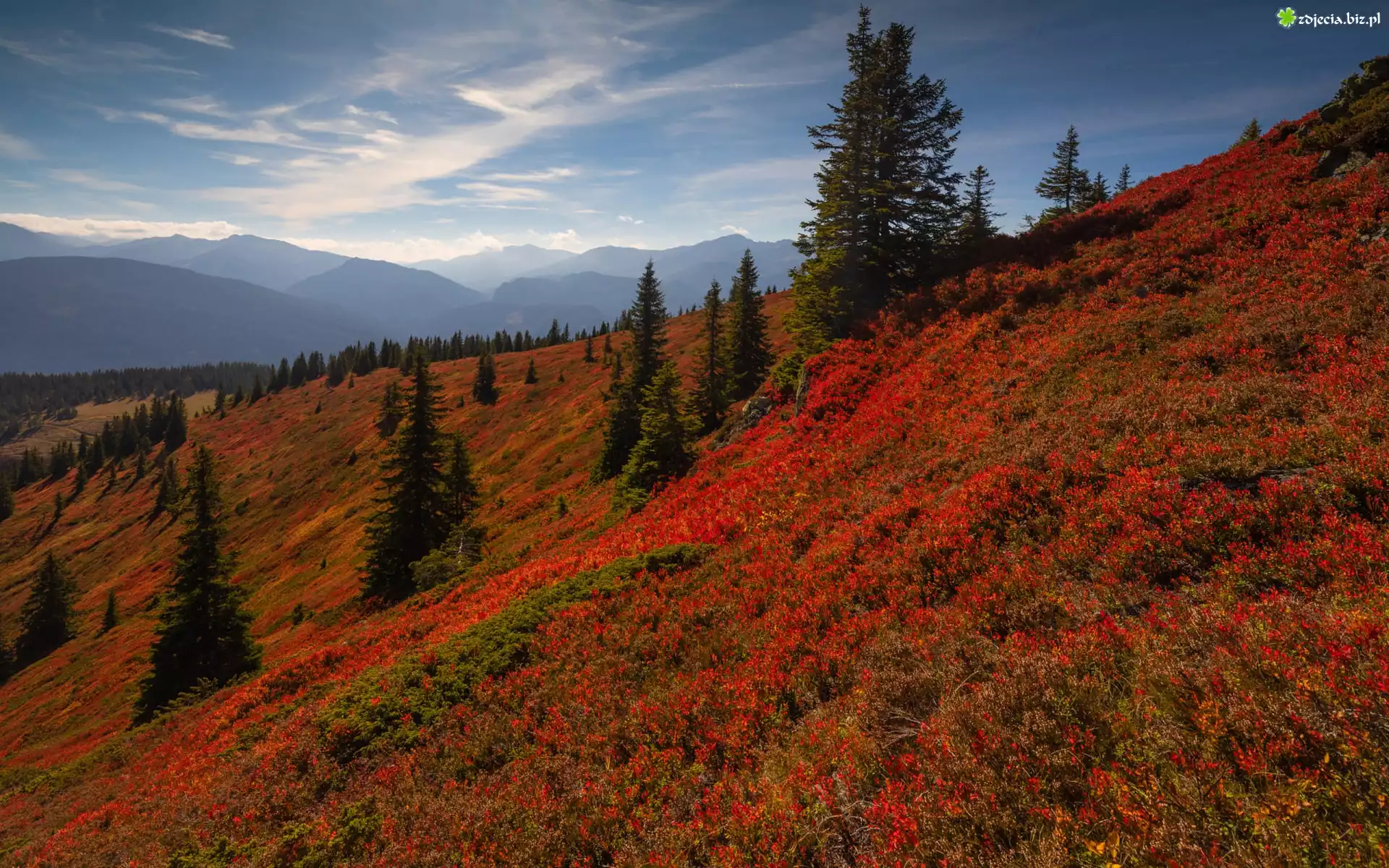 Jesień, Góry, Drzewa, Kolorowe, Rośliny, Wzgórze, Mgła, Niebo