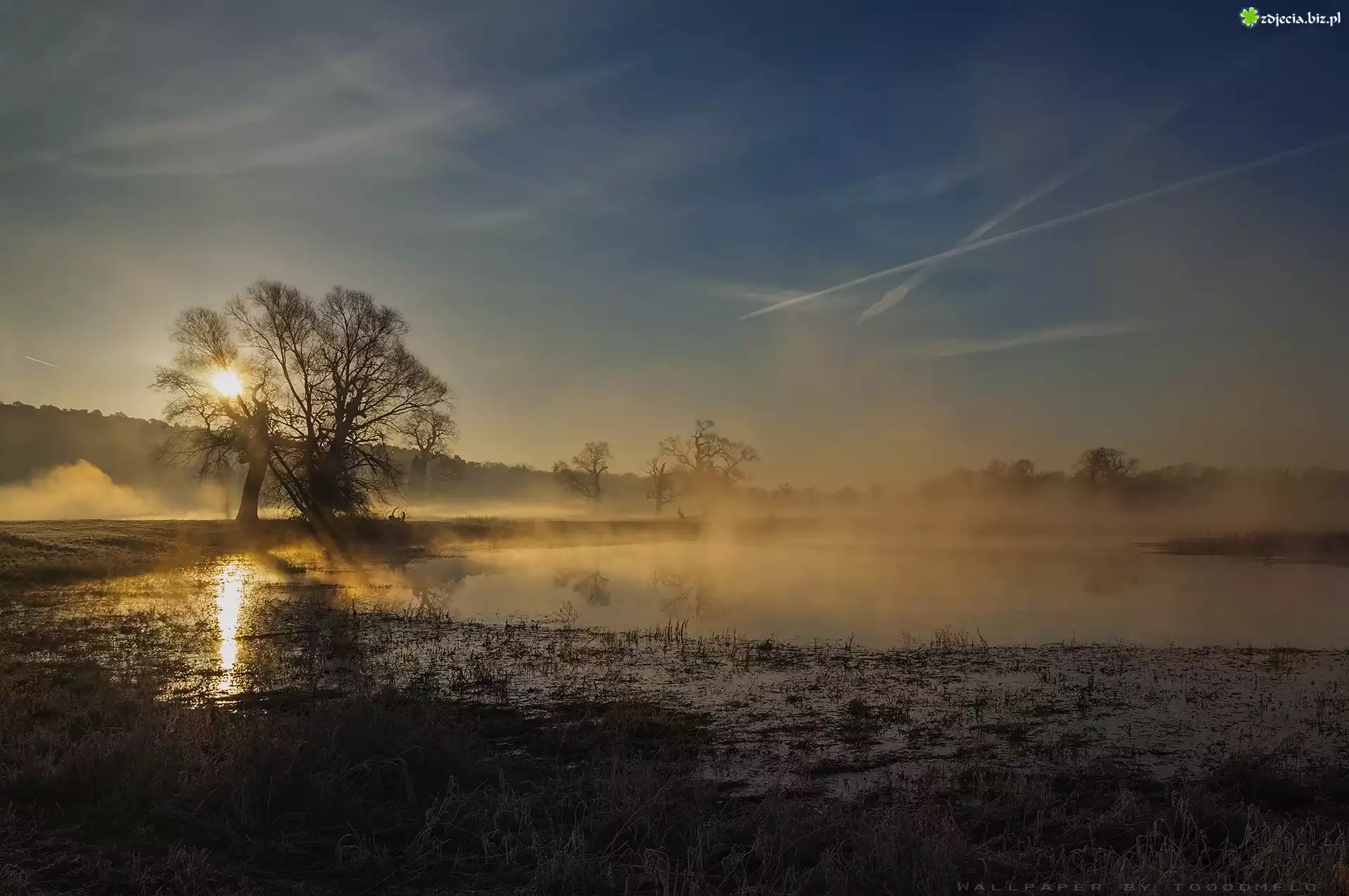Poranek, Wschód słońca, Mgła, Niebo, Rogaliński Park Krajobrazowy, Rogalin.