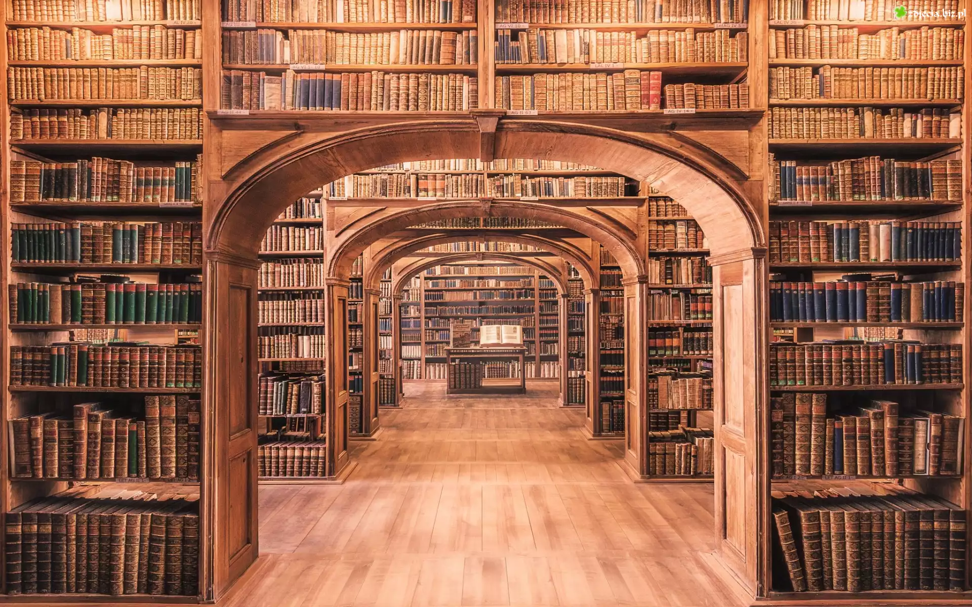 Niemcy, Görlitz, Biblioteka, Książki, Księgi