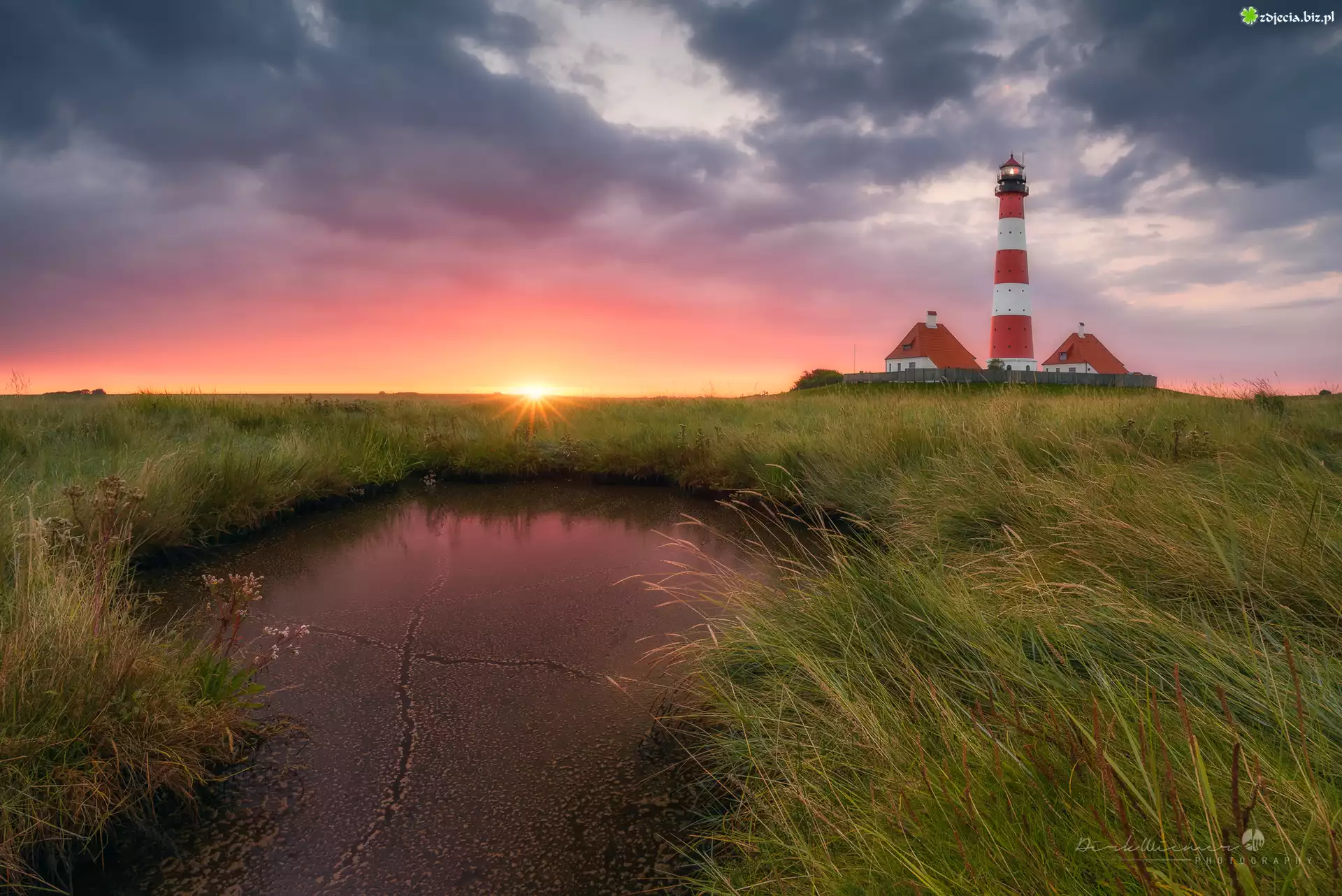 Latarnia morska Westerheversand, Kałuża, Trawy, Zachód słońca, Chmury, Nordfriesland, Niemcy