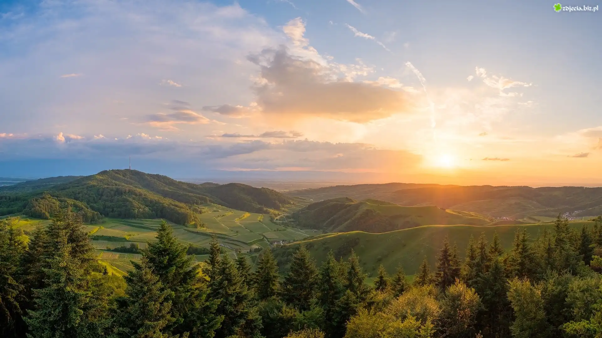 Promienie słońca, Wzgórza, Pola, Drzewa, Las, Góry, Kaiserstuhl, Niemcy