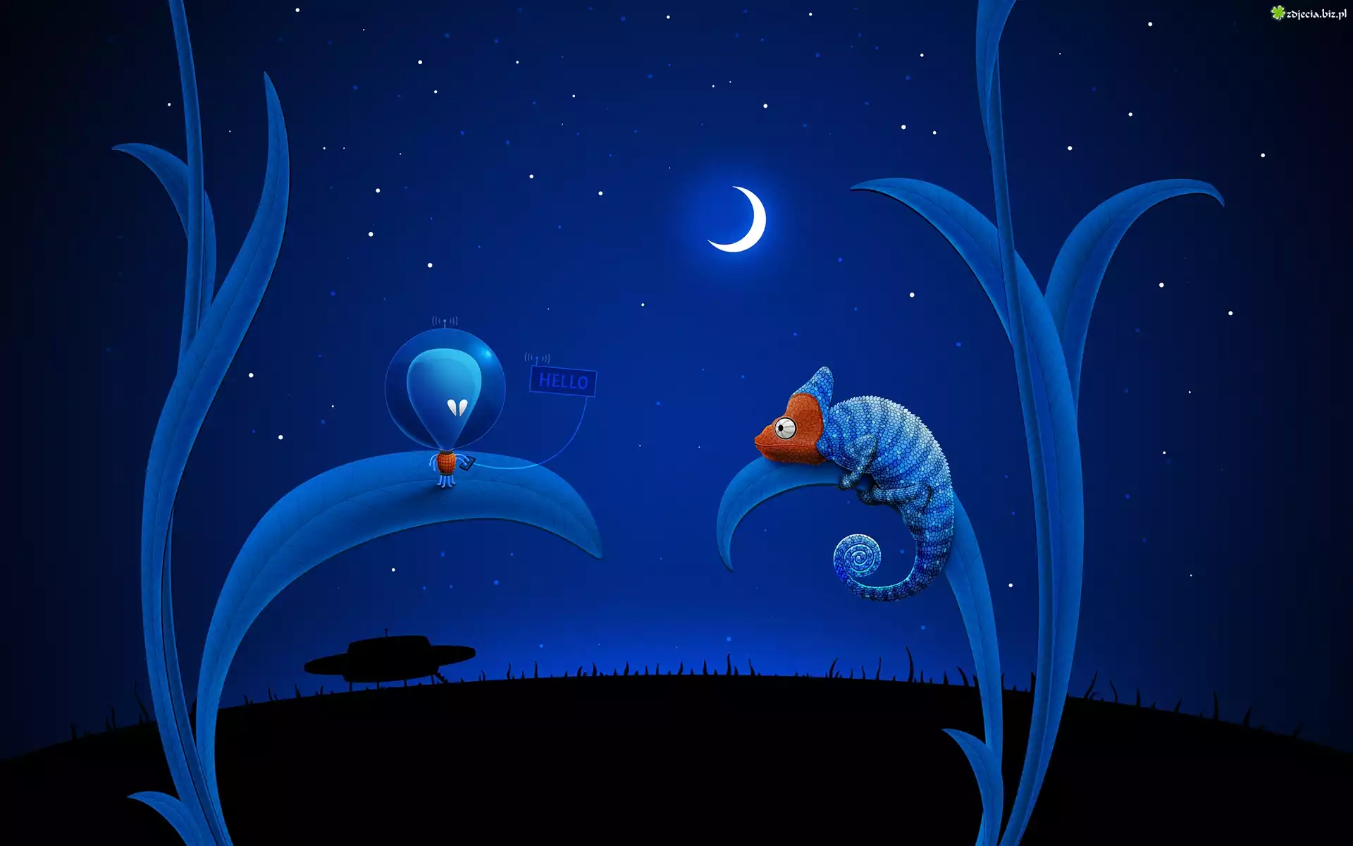 Noc, Kameleon, Ufo, Spotkanie