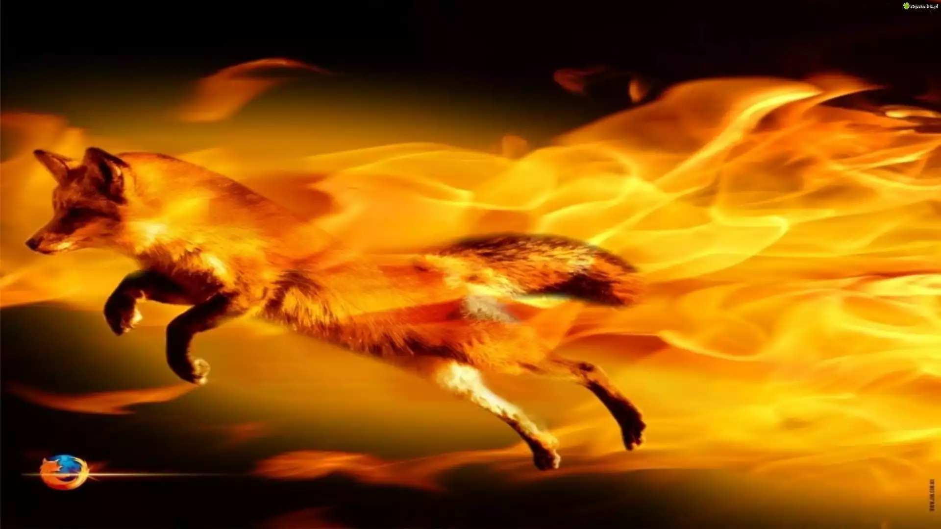 Ognisty, Lis, Logo, Firefox