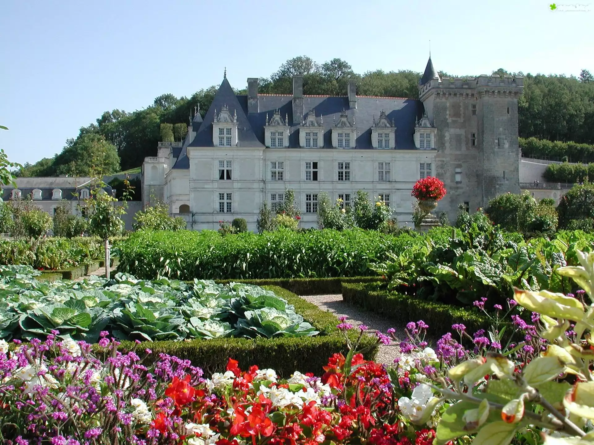Zamek w Villandry, Château de Villandry, Francja, Villandry, Ogród