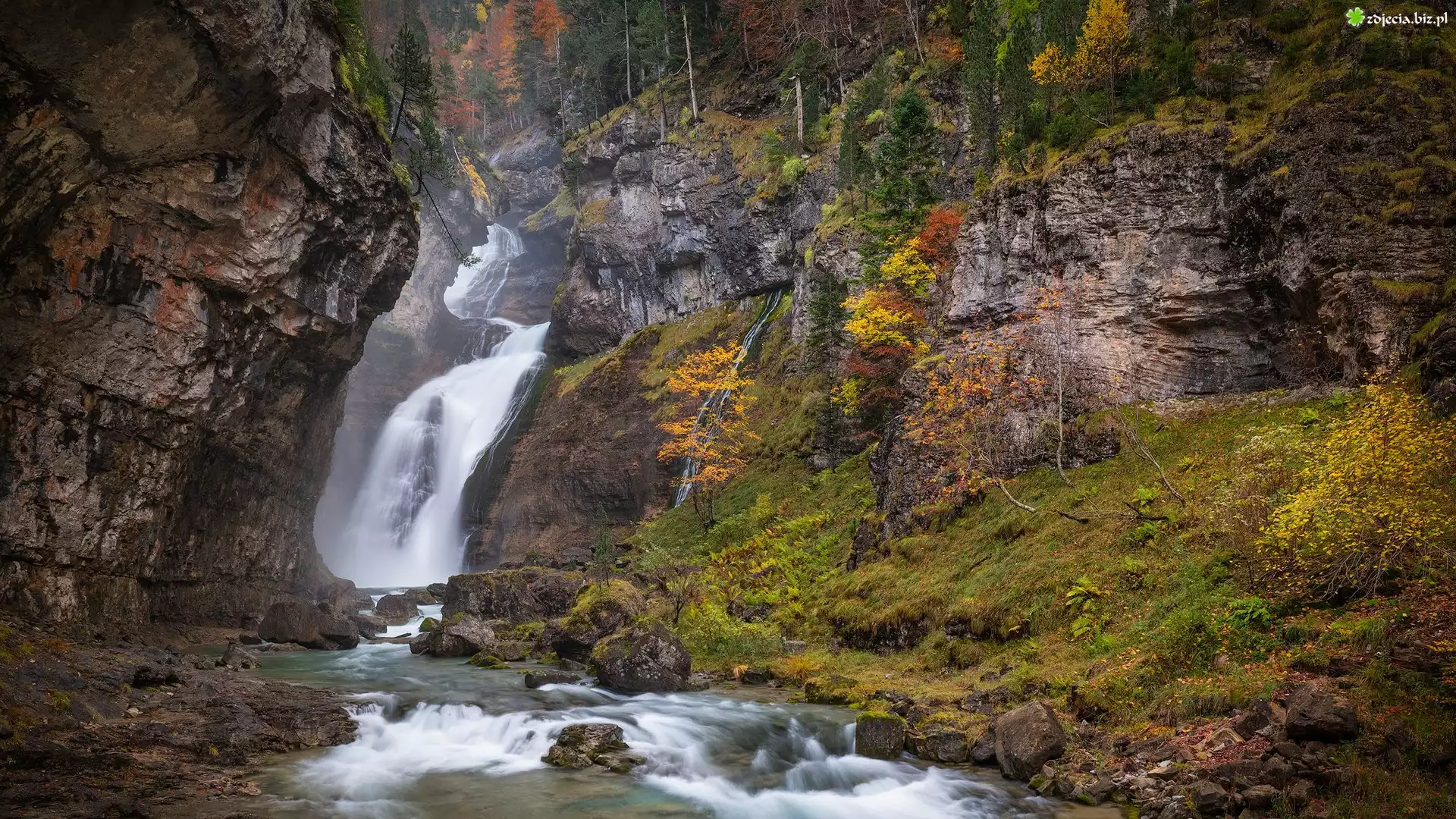 Skały, Wodospad, Rzeka, Rośliny, Park Narodowy Ordesa y Monte Perdido, Hiszpania
