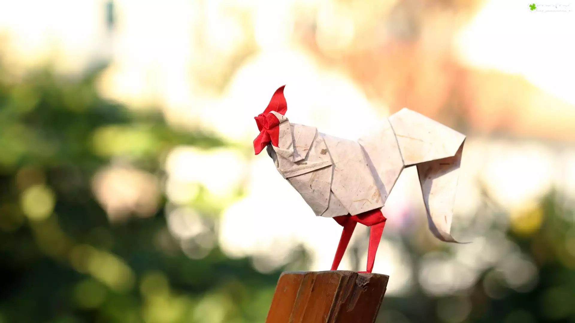 Origami, Kogut