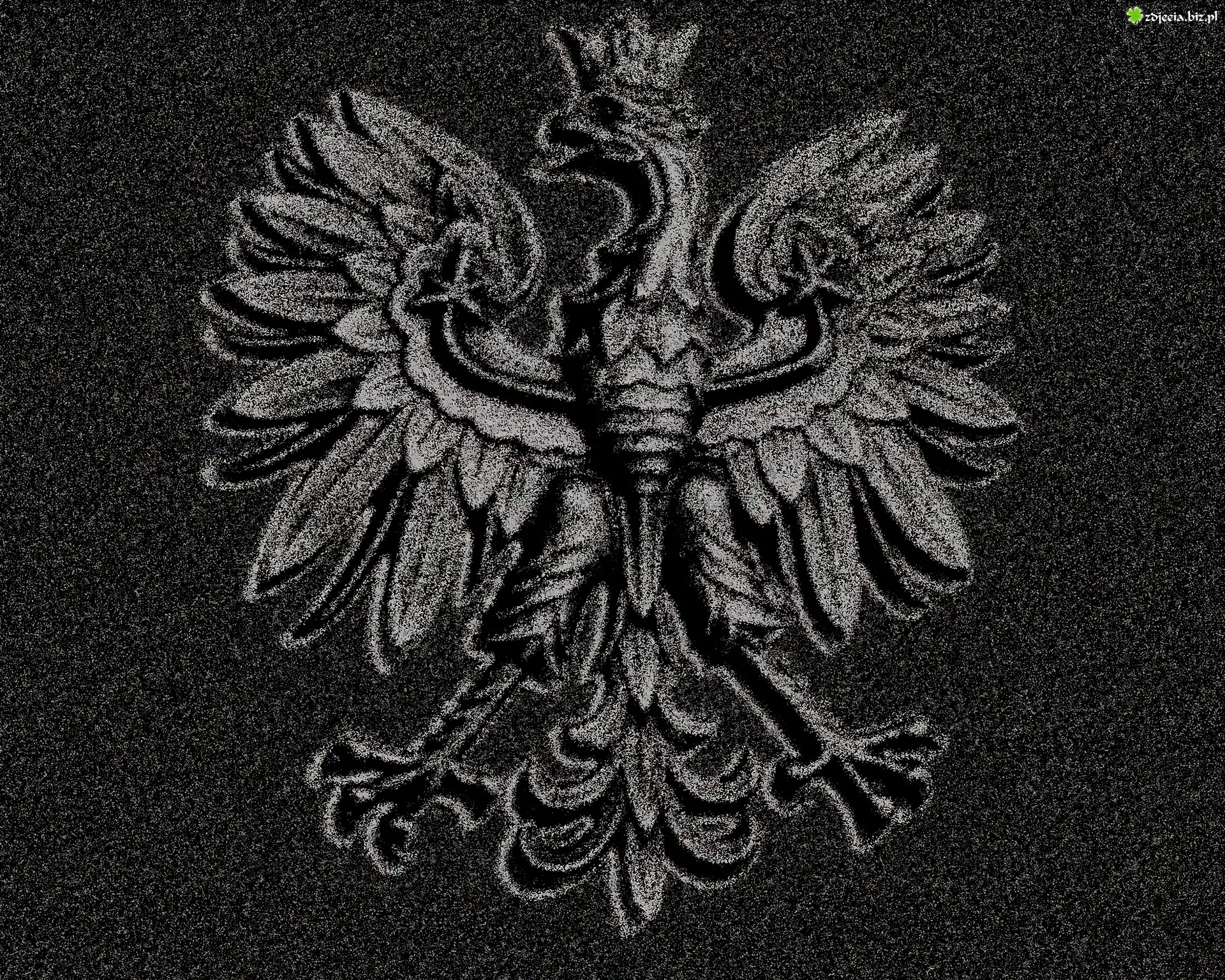 Orzeł, Polski, Czarne, Tło