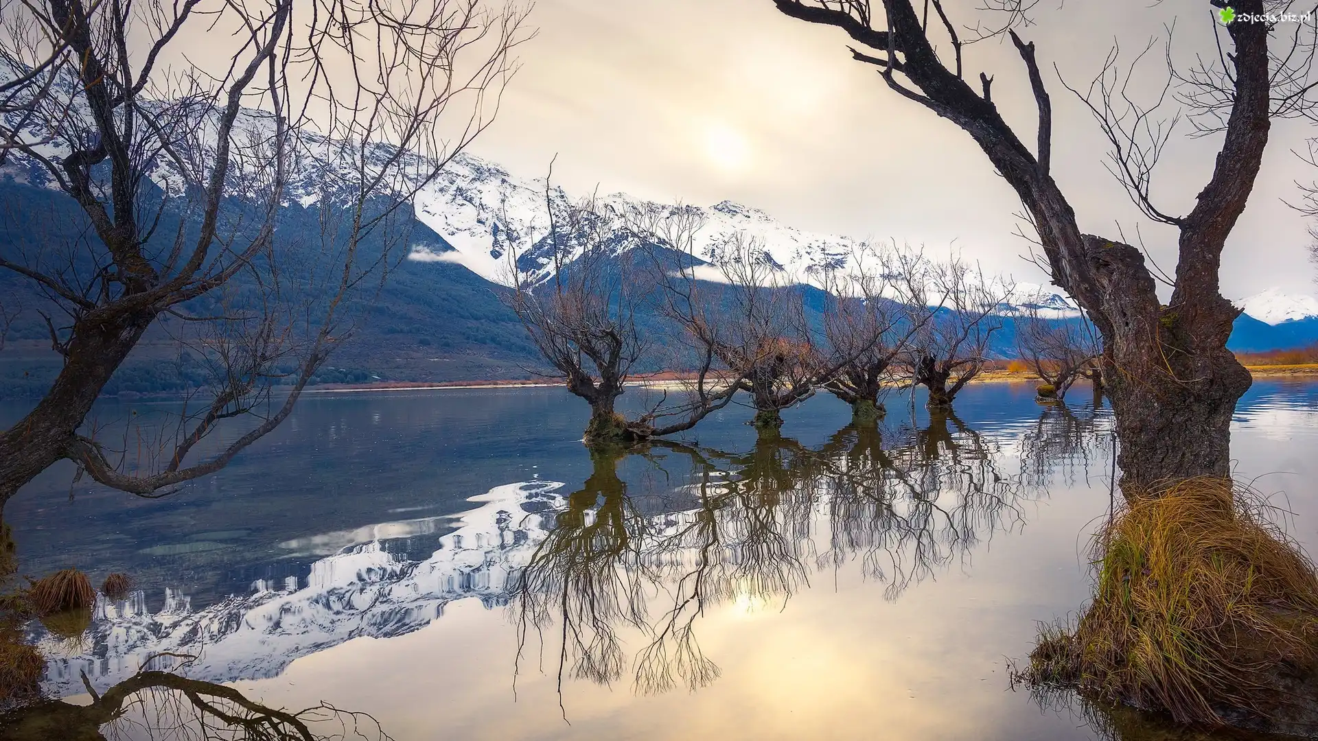 Ośnieżone, Góry, Rzeka, Dart River, Drzewa, Odbicie, Glenorchy, Nowa Zelandia