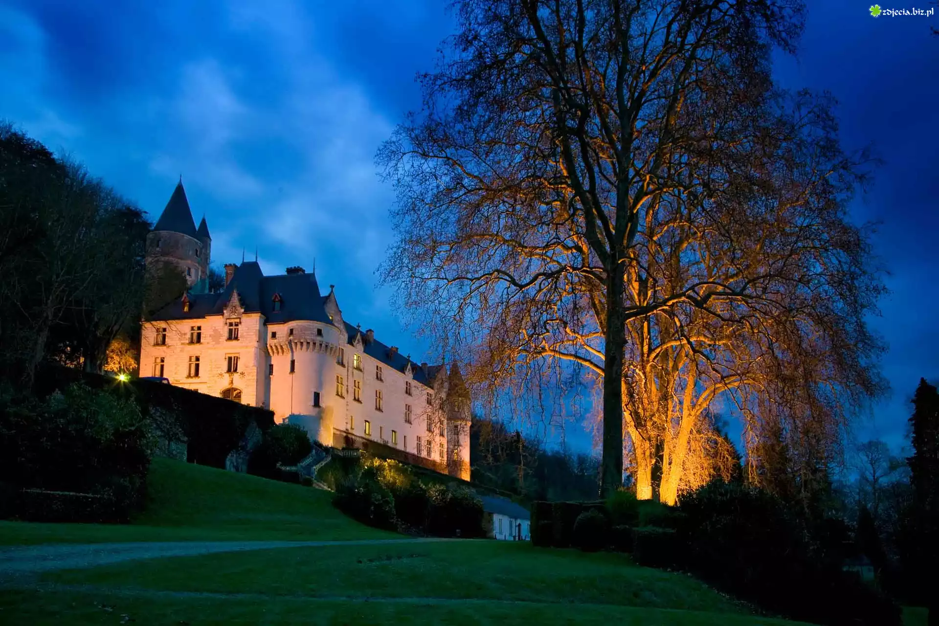 Oświetlony, Zamek, Amboise, Francja, Noc
