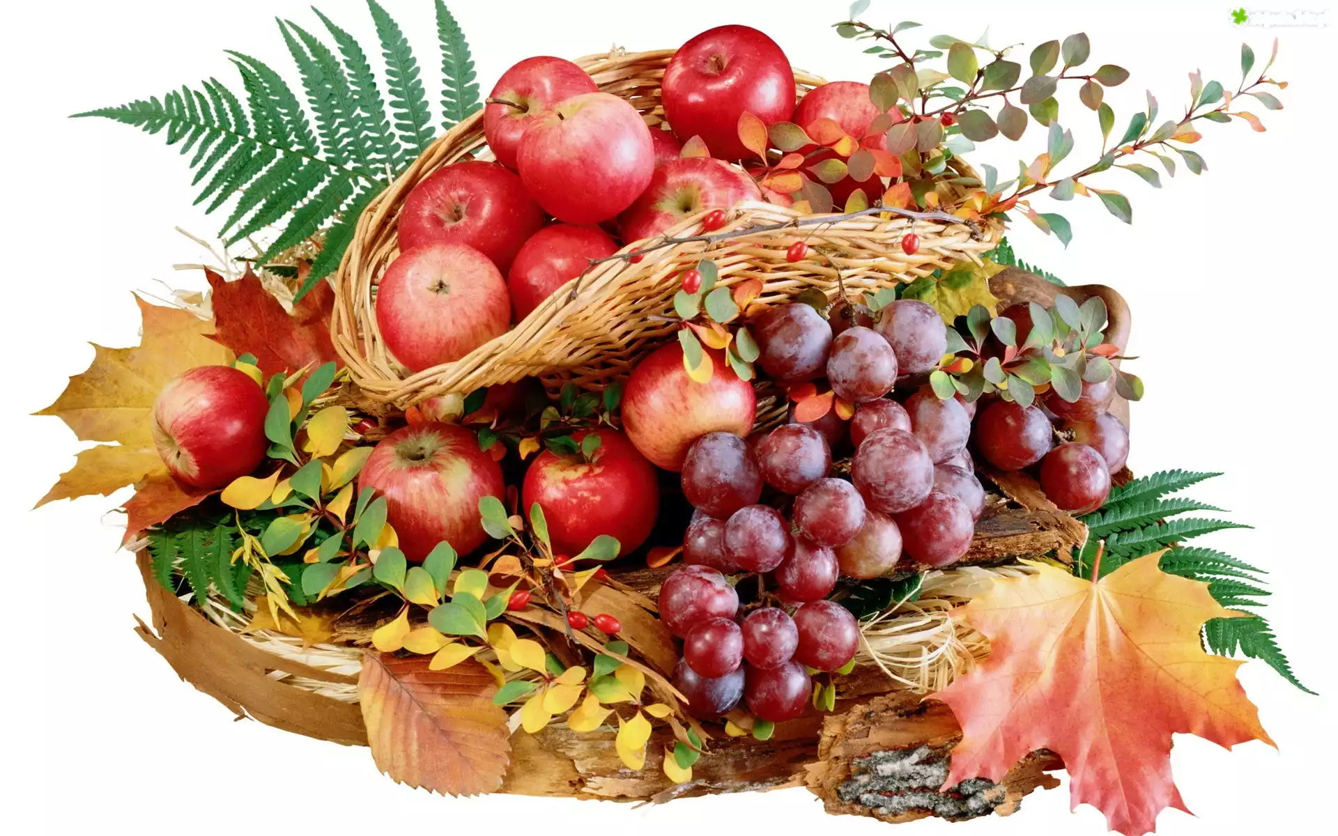 Owoce, Jesieni, Kosz, Liście, Kompozycja