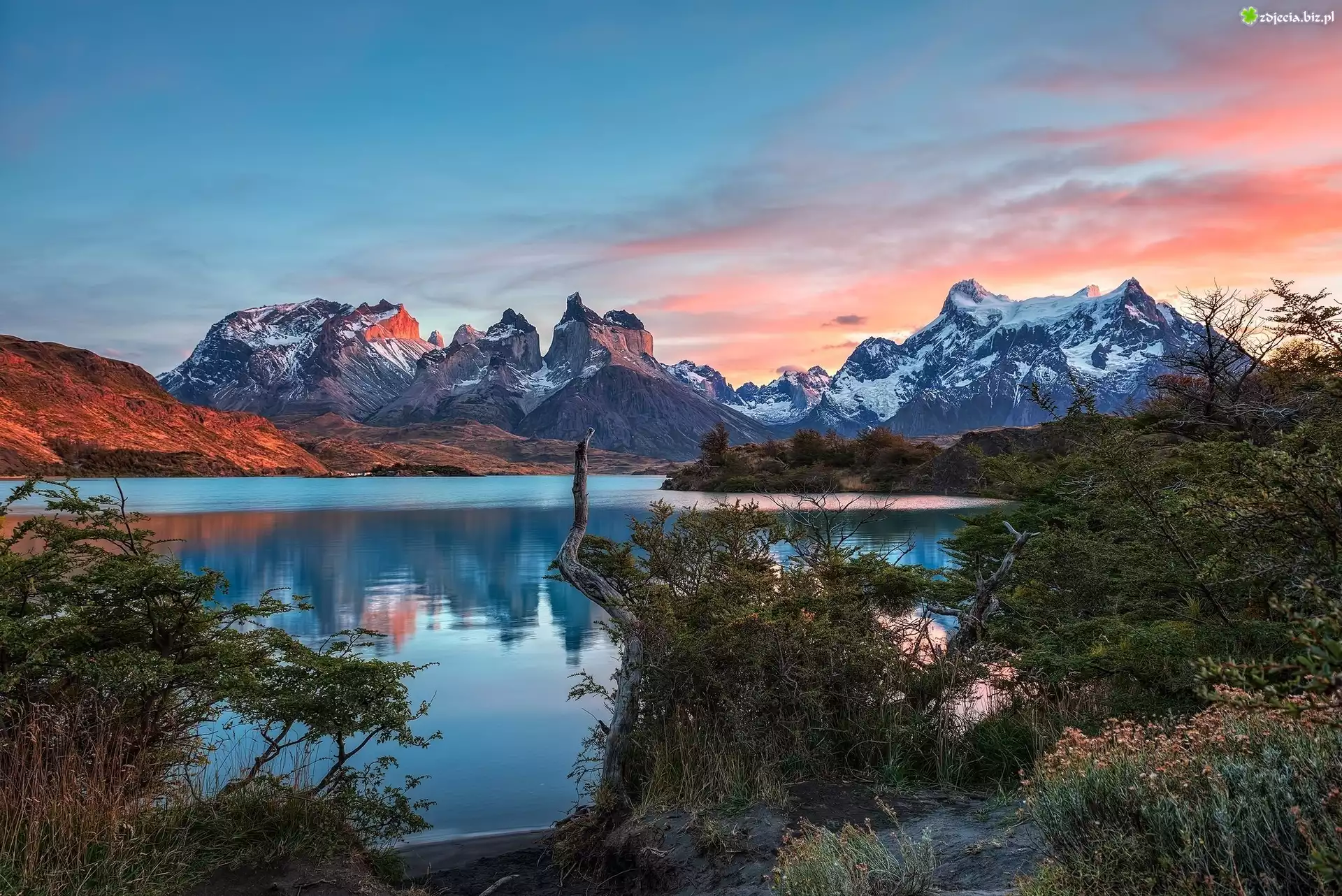 Chile, Patagonia, Góry Torres del Paine, Ośnieżone, Szczyty, Jezioro, Zachód słońca, Krzewy, Park Narodowy Torres del Paine