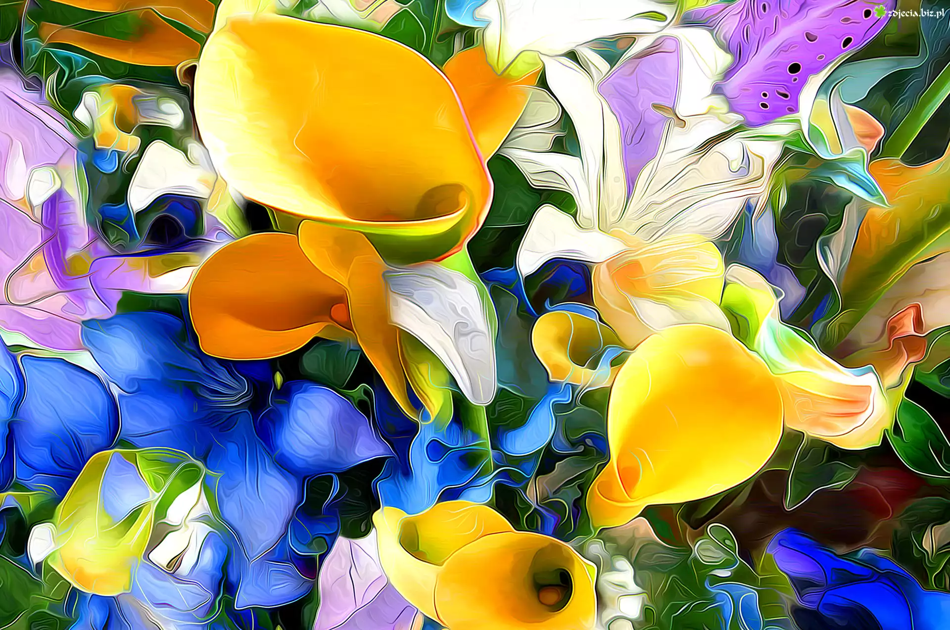 Grafika, Paintography, Kwiaty