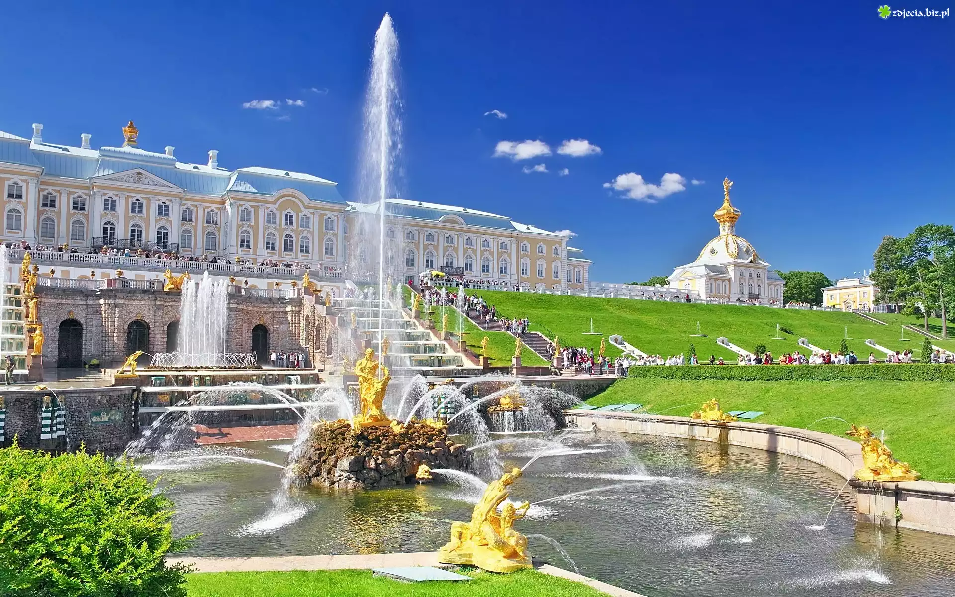Pałac, Zabytek, Fontanna, St Petersburg, Rosja