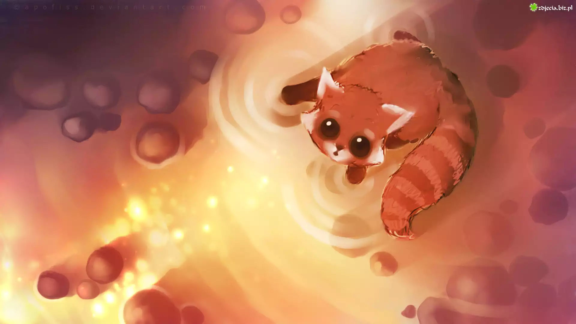 Panda Czerwona, Grafika, 2D