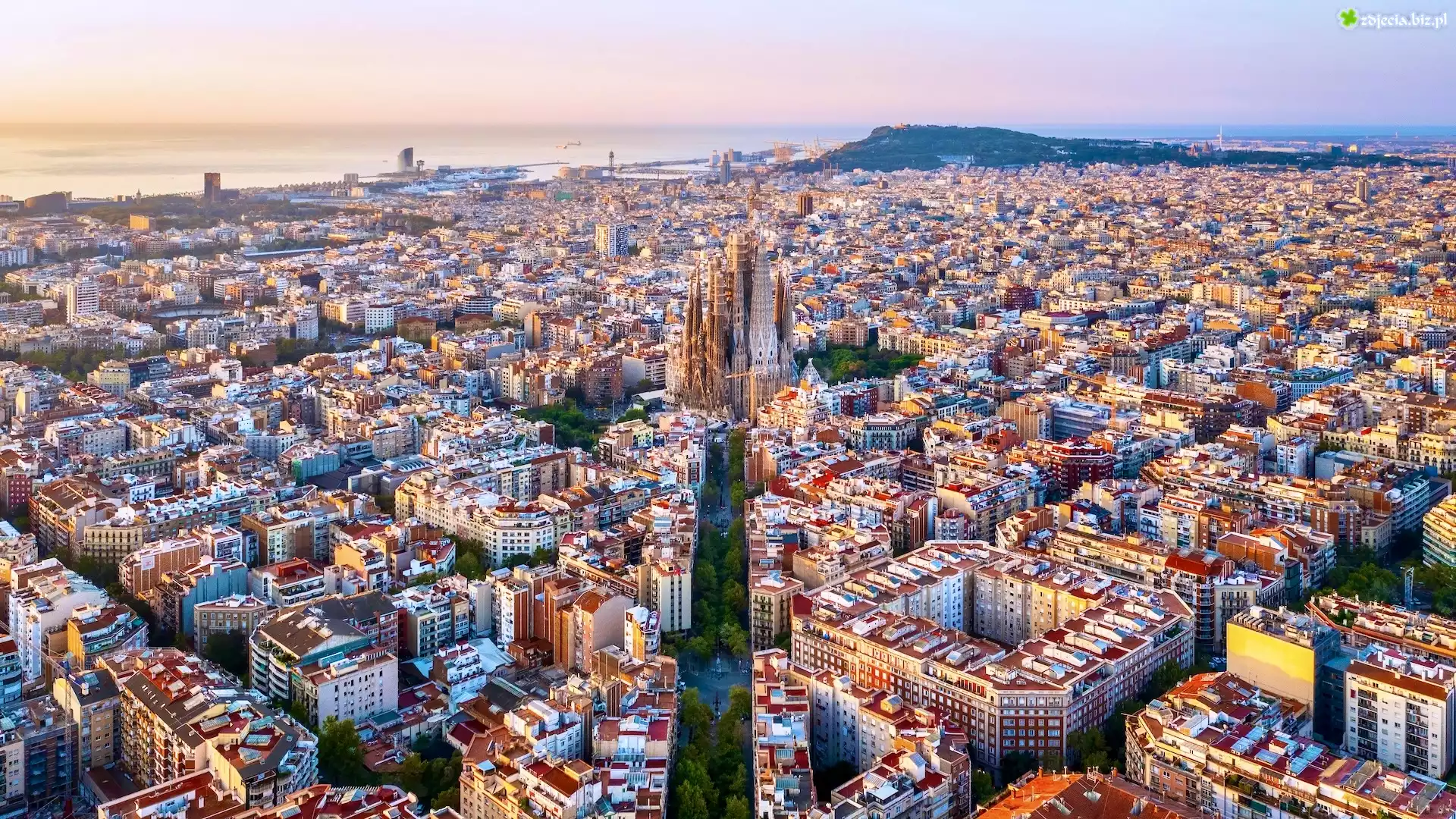 Hiszpania, Barcelona, Z lotu ptaka, Domy, Kościół, Sagrada Familia, Panorama, Zdjęcie miasta
