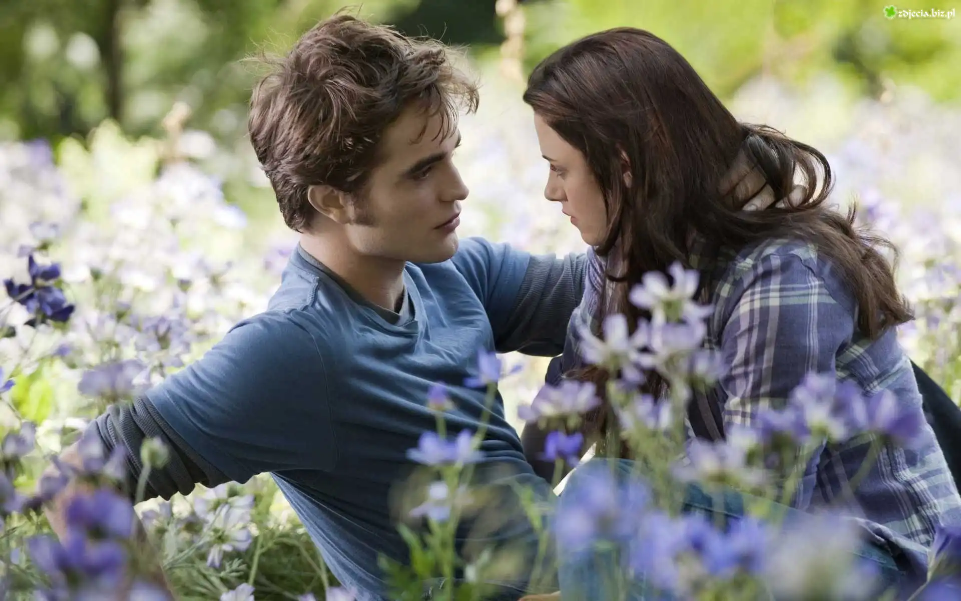 Zakochana, Para, Robert Pattinson, Kristen Stewart