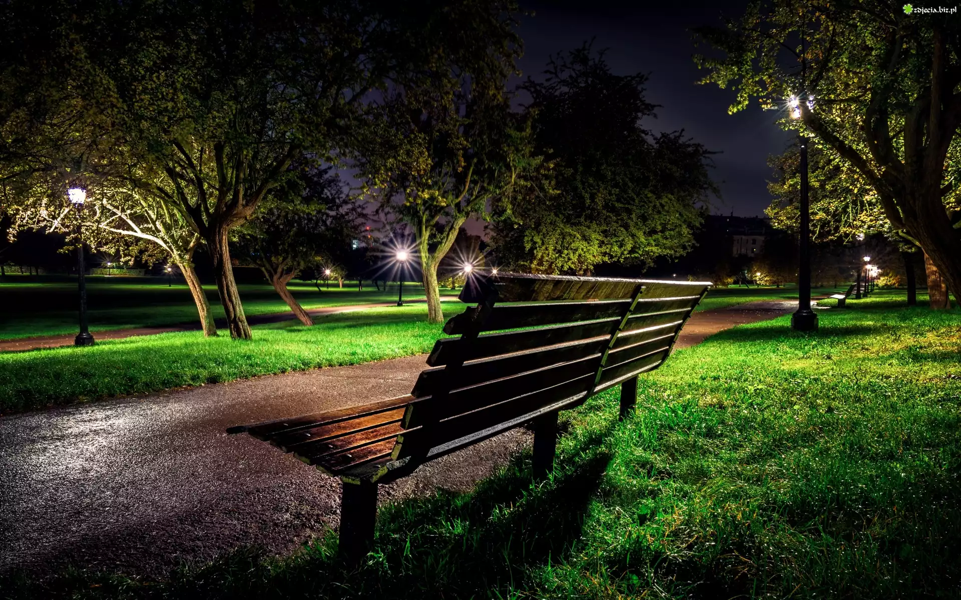Park, Noc, Ławeczka, Ławka