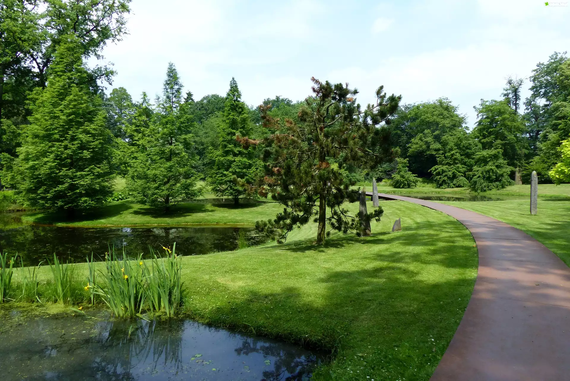 Park, Aleja, Drzewa, Staw