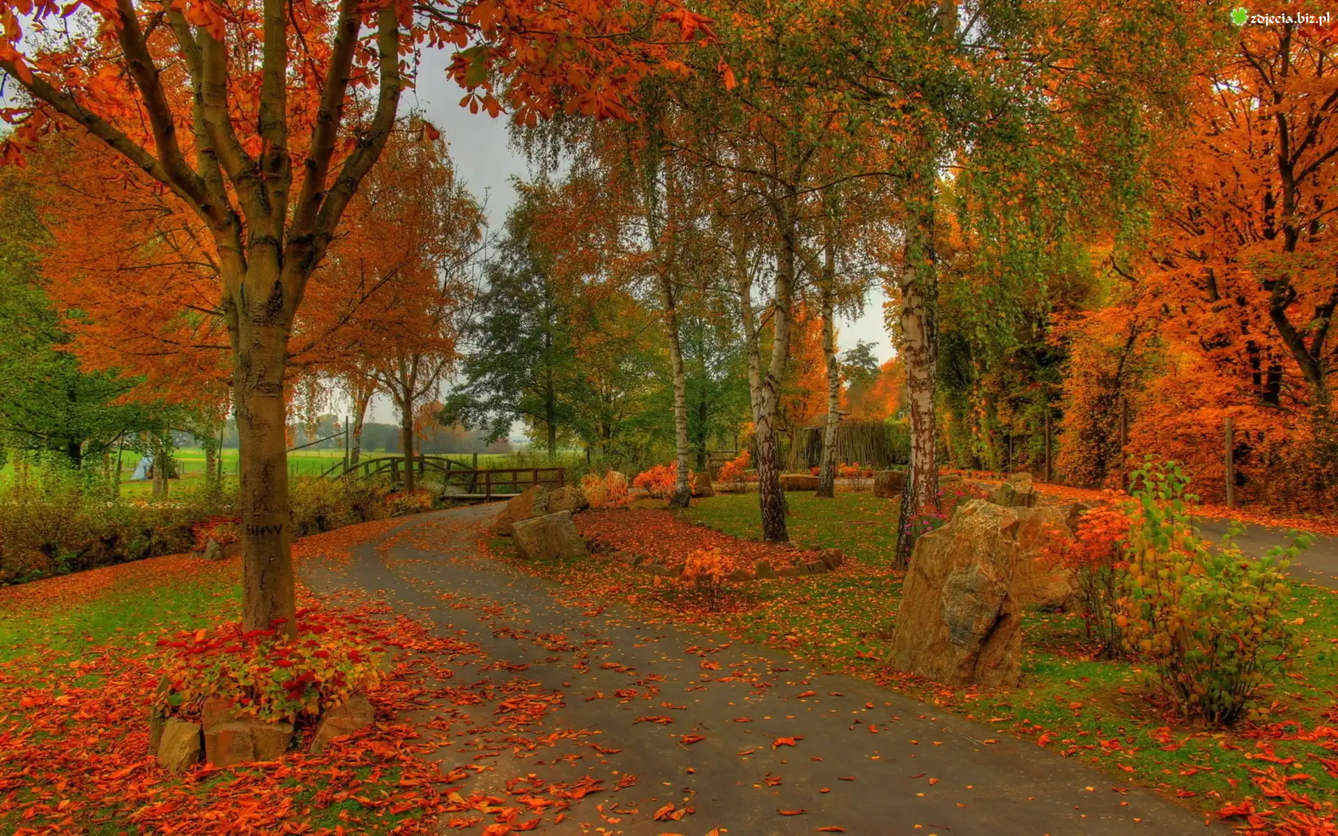 Park, Rzeka, Mostek, Aleja, Liście, Jesień