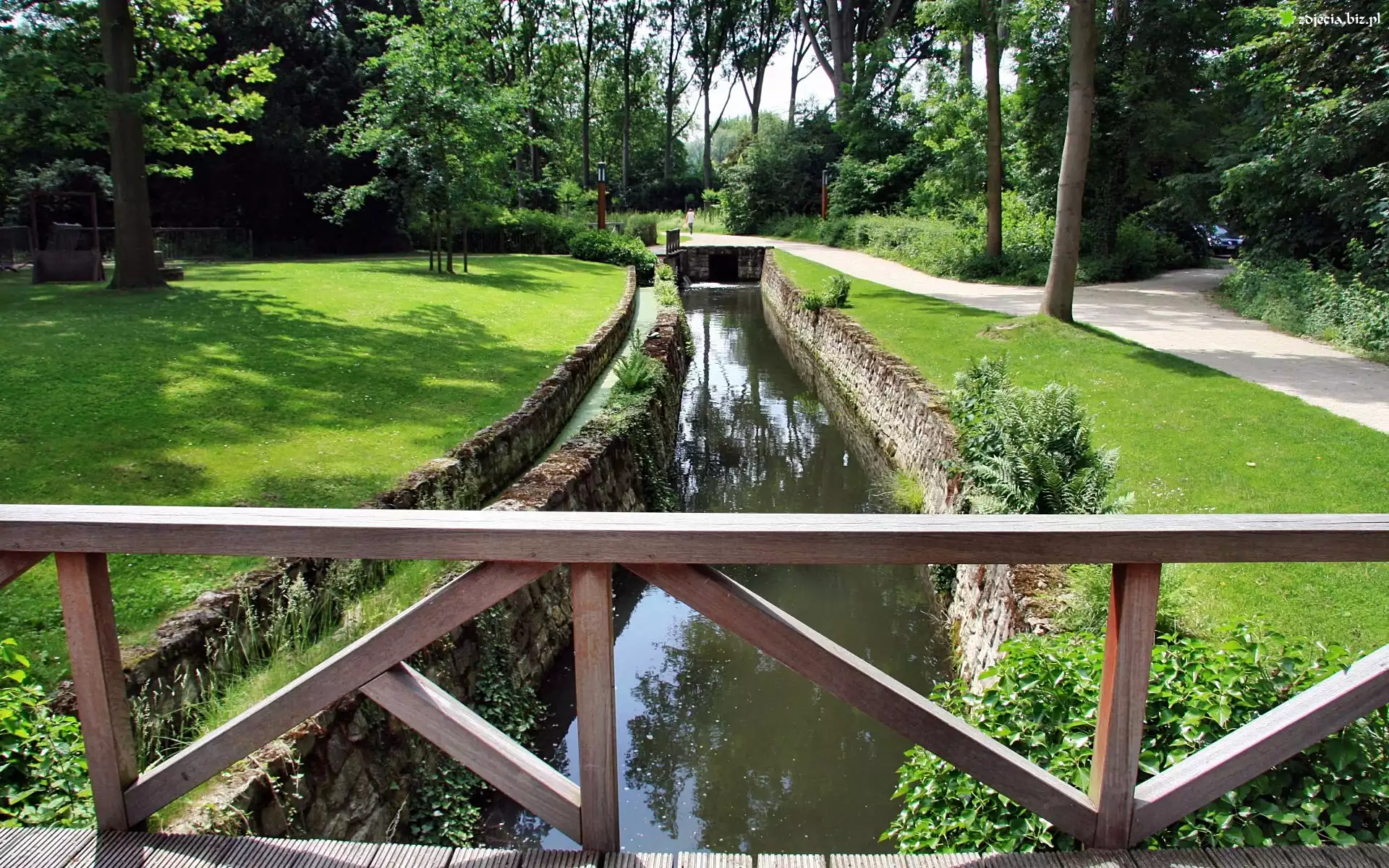 Park, Rzeczka, Mostek, Aleja