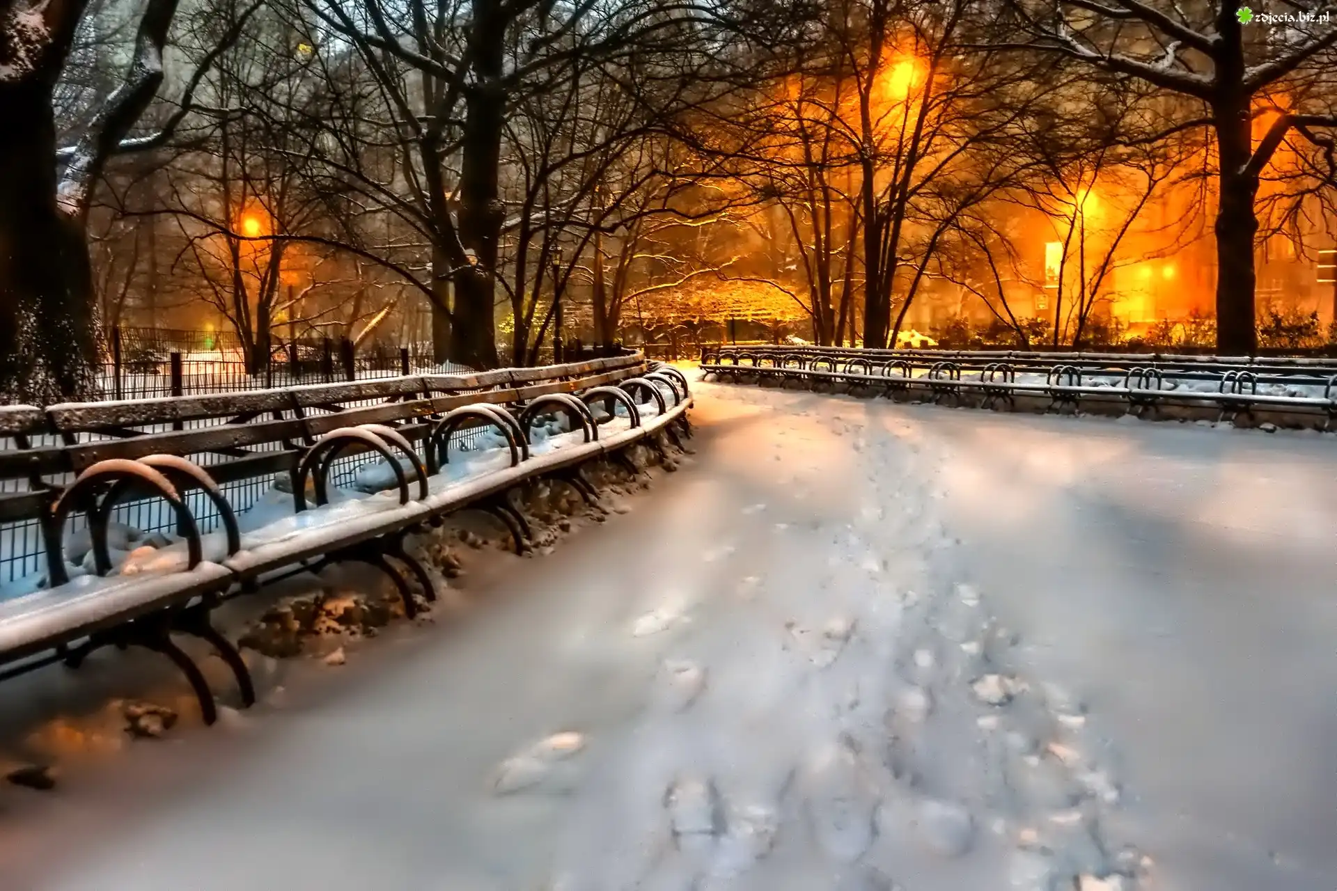 Park, Alejka, Śnieg, Oświetlenie