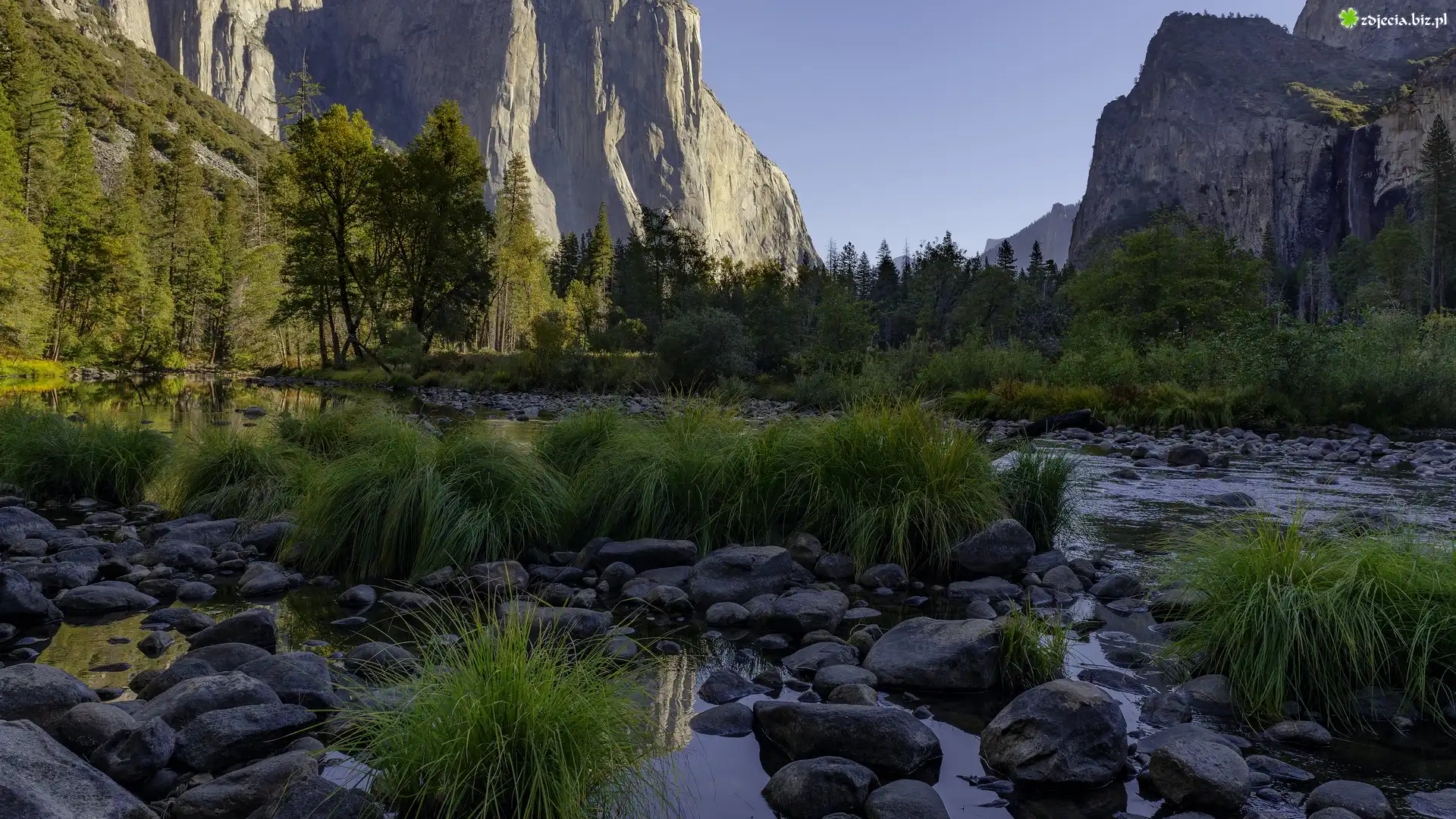 Park Narodowy Yosemite, Góry Sierra Nevada, Rzeka, Merced River, Dolina, Yosemite Valley, Kępki, Trawy, Kamienie, Drzewa, Kalifornia, Stany Zjednoczone