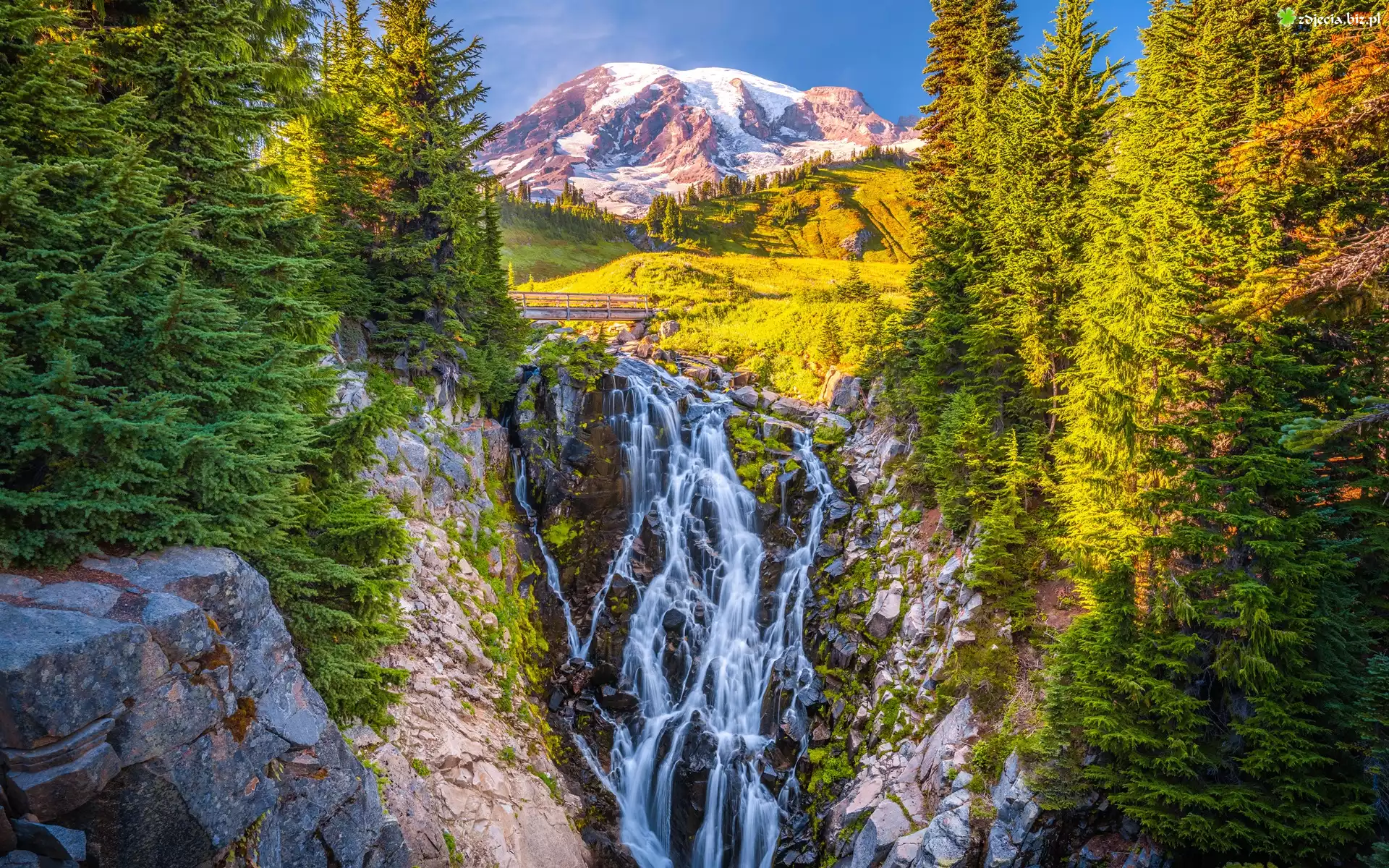 Park Narodowy Mount Rainier, Góry, Stratowulkan Mount Rainier, Wodospad, Myrtle Falls, Drzewa, Stan Waszyngton, Stany Zjednoczone