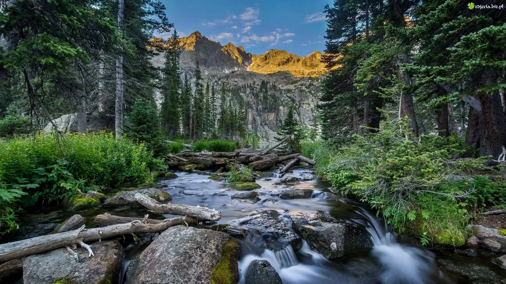 Stany Zjednoczone, Stan Kolorado, Indian Peaks Wilderness, Góry, Drzewa, Las, Rzeczka, Kamienie