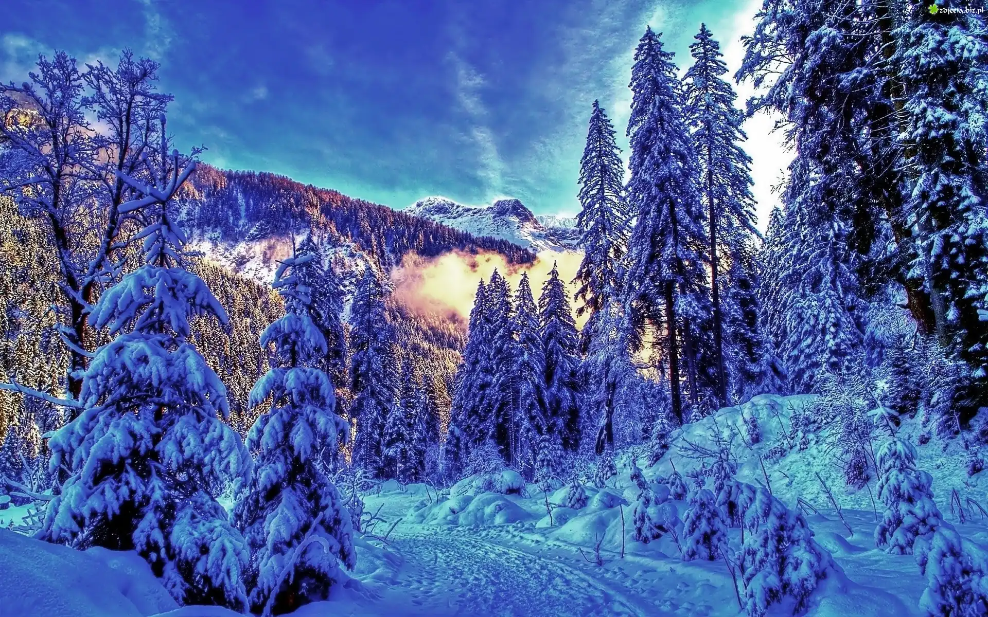 Zimowy, Pejzaż, Góry