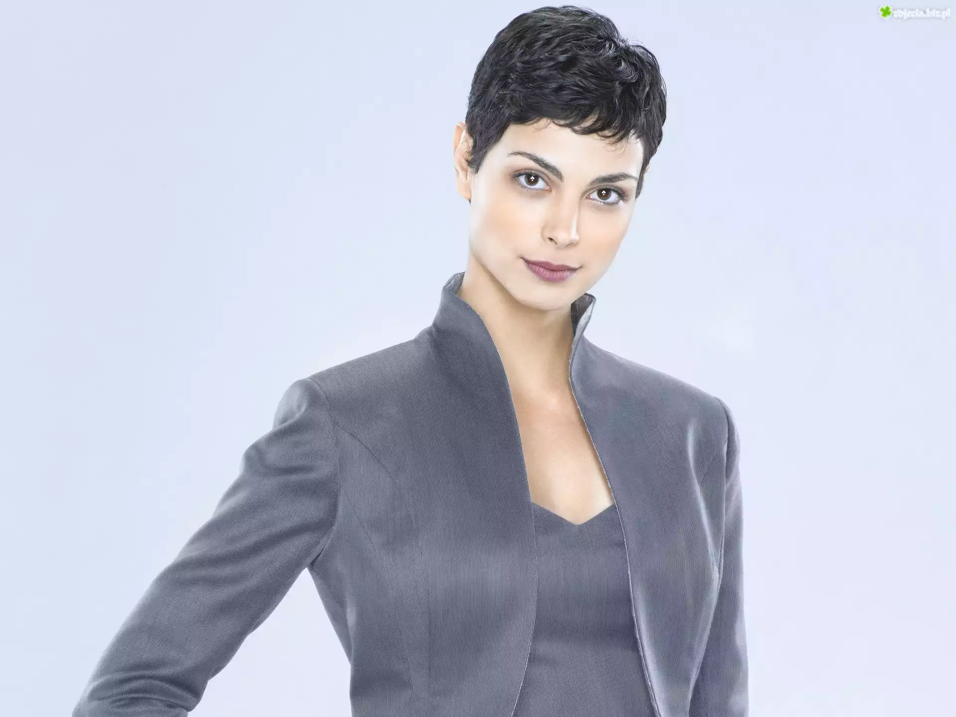 Piękna, Morena Baccarin, Szary, Żakiet