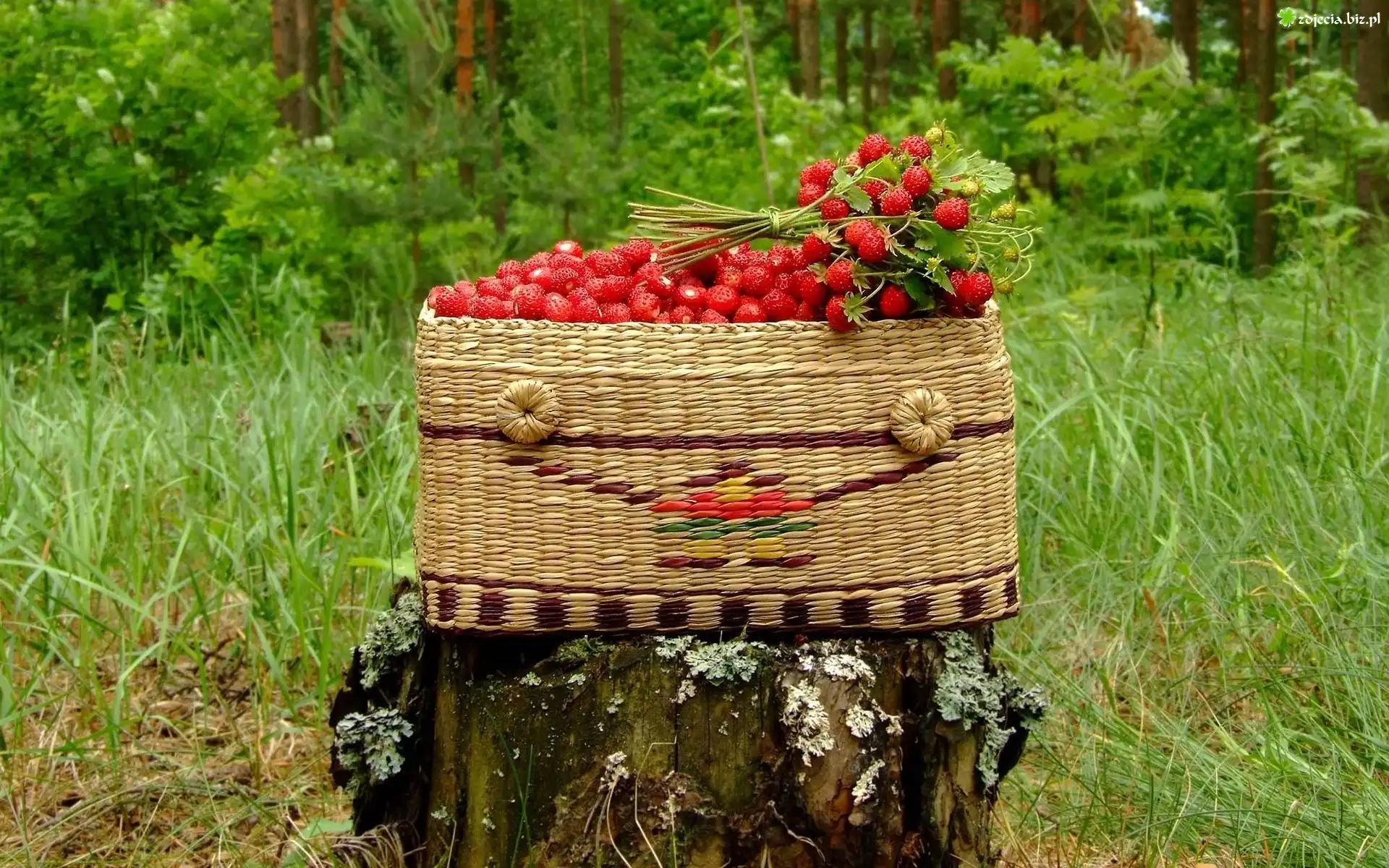 Pień, Wiklinowy, Kosz, Owoce, Poziomki