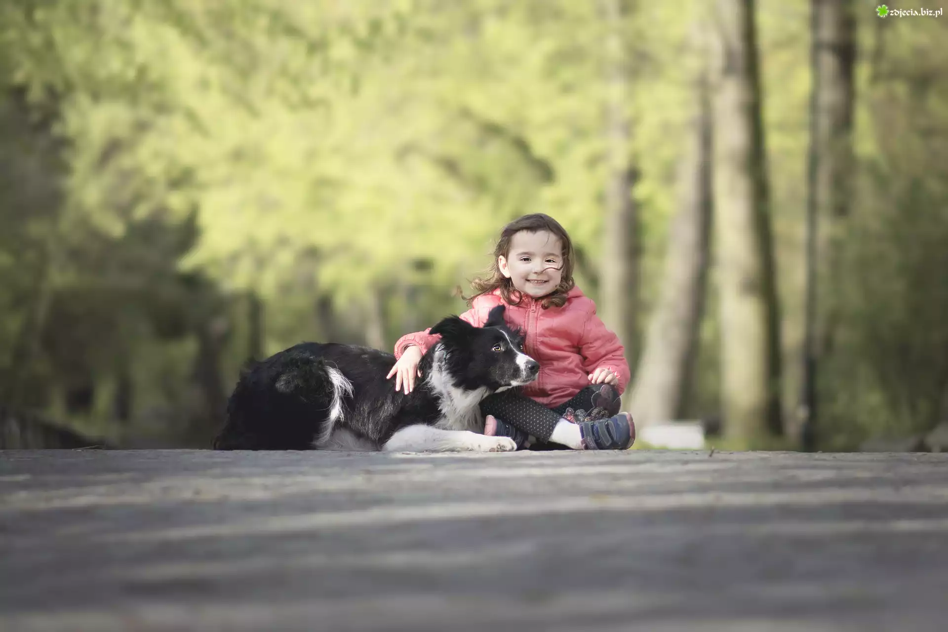 Dziewczynka, Pies, Border collie, Przyjaciele, Park, Alejka