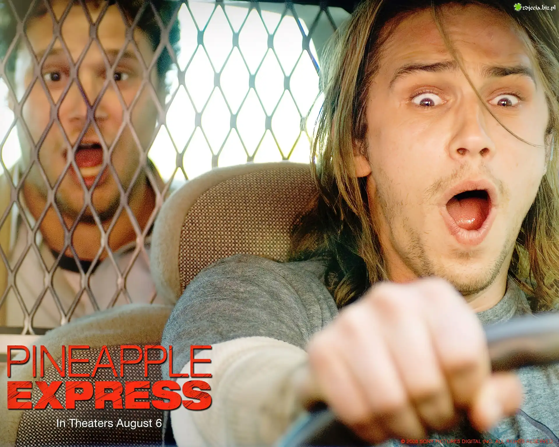 Komedia, Pineapple Express