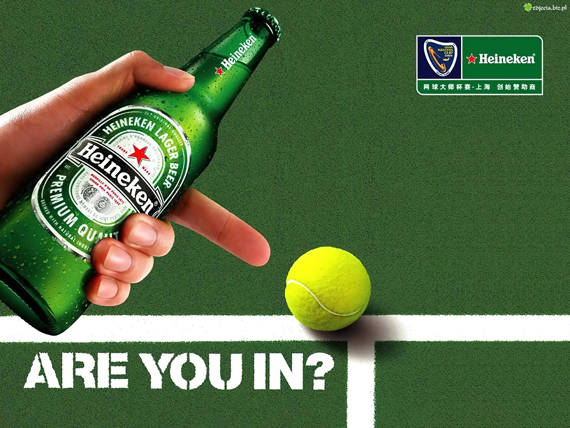Piwo, Heineken,piłka tenisowa